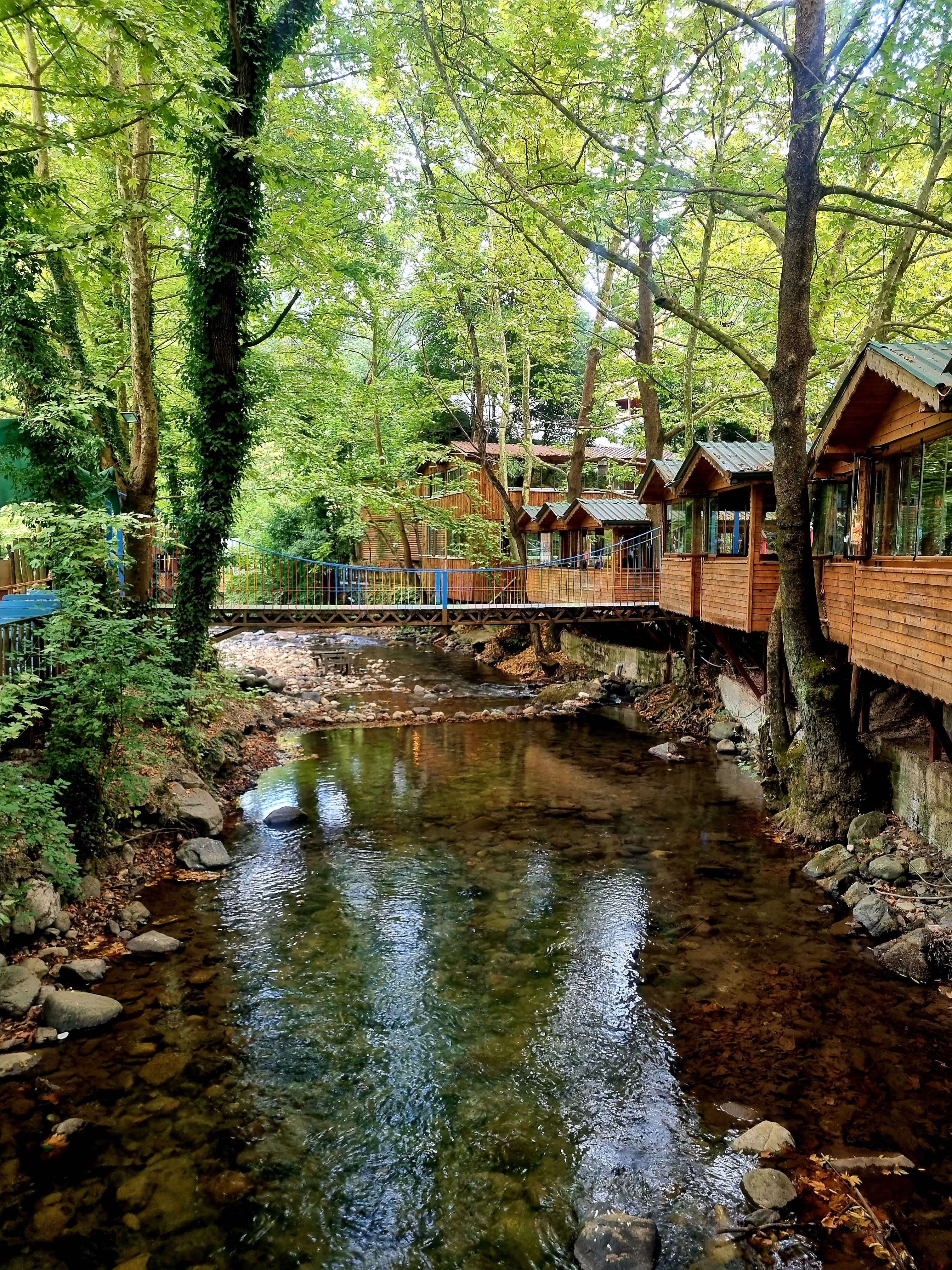 Idyllic riverside wooden cottages amidst lush greenery in Kocaeli, Türkiye.