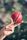 cricket ball