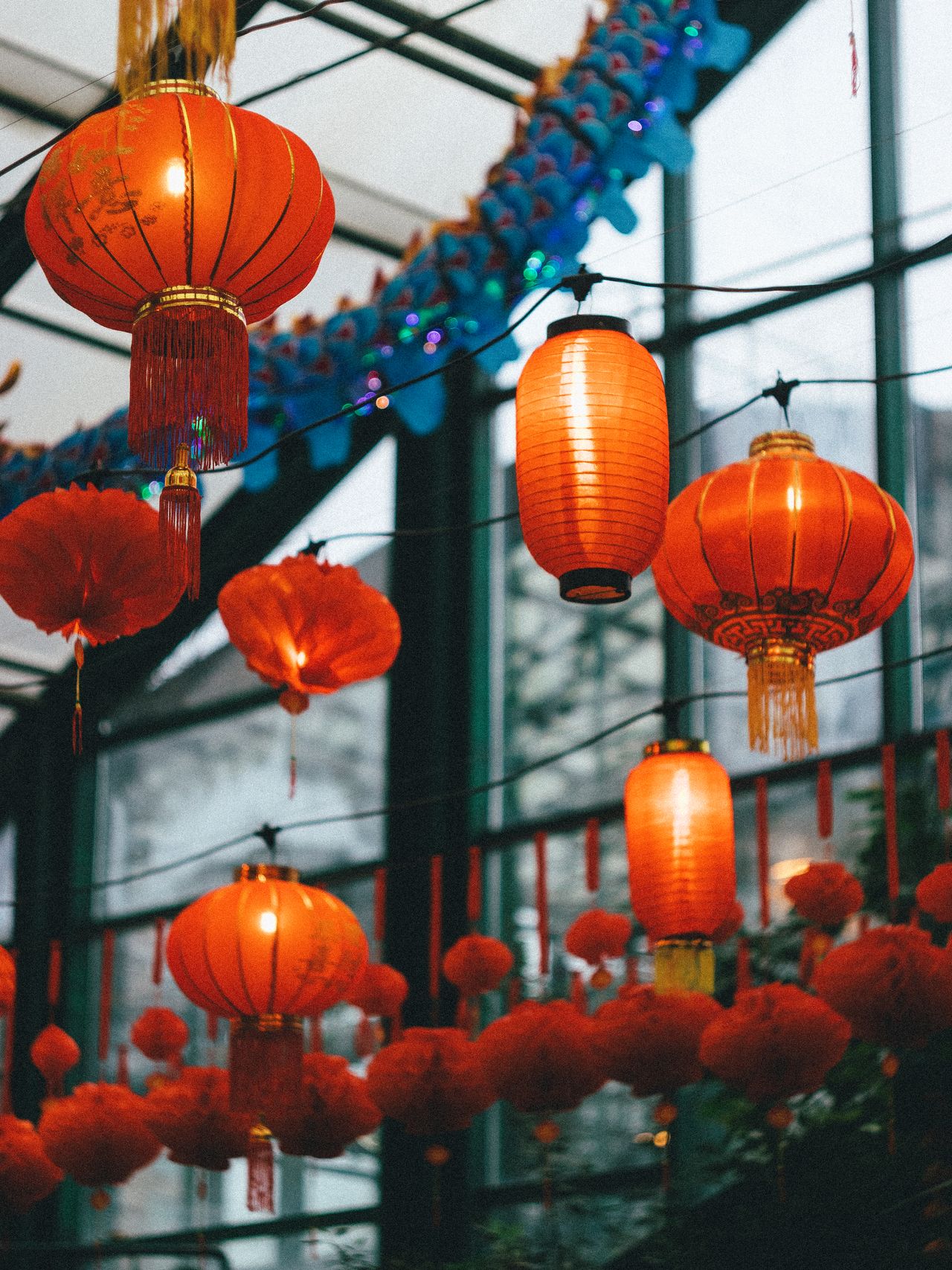 patriotic-tissue-paper-pom-poms Colorful paper lanterns hanging in a festive indoor display