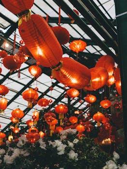 Colorful Chinese lanterns illuminate a festive evening garden setting, creating a warm cultural ambiance.