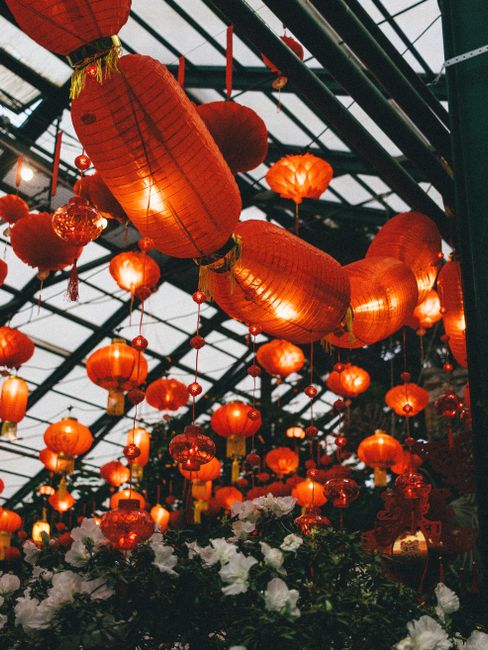 Colorful Chinese lanterns illuminate a festive evening garden setting, creating a warm cultural ambiance.