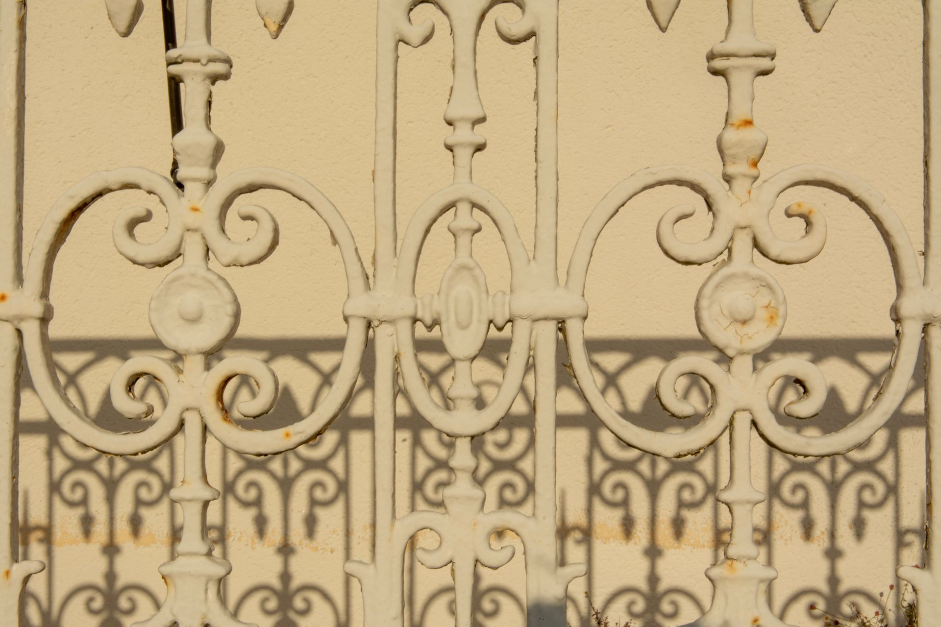 Close-up of an ornate iron fence casting detailed shadows on a wall.