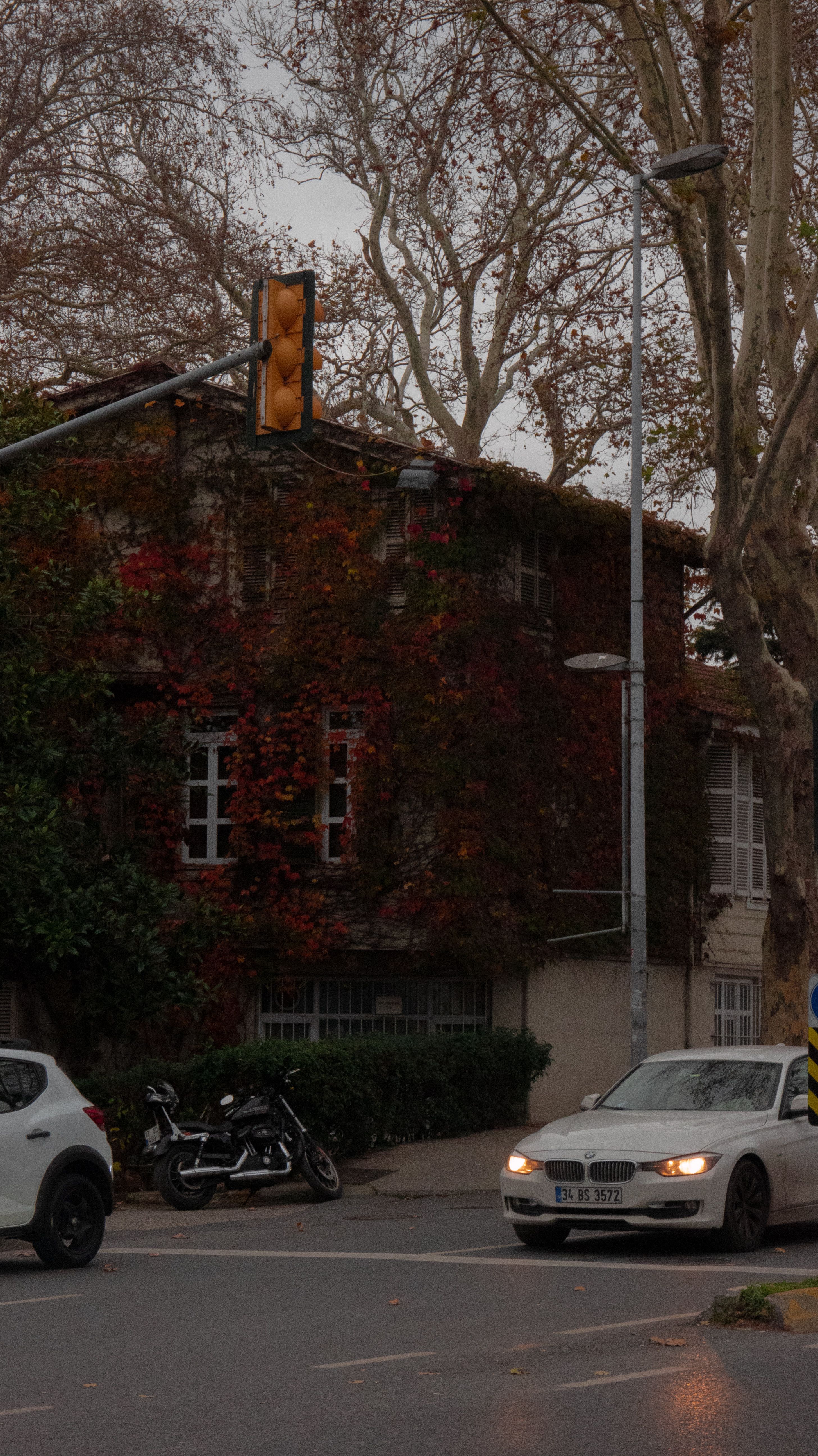 Urban Street Scene with Traffic and Autumn Foliage · Free Stock Photo