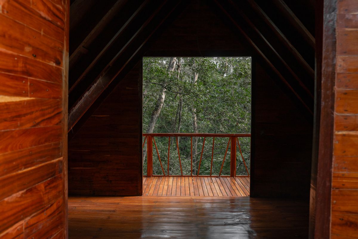Interior of a wooden A frame cabin, dark timber framing a doorway that opens onto a balcony facing dense rainforest canopy.