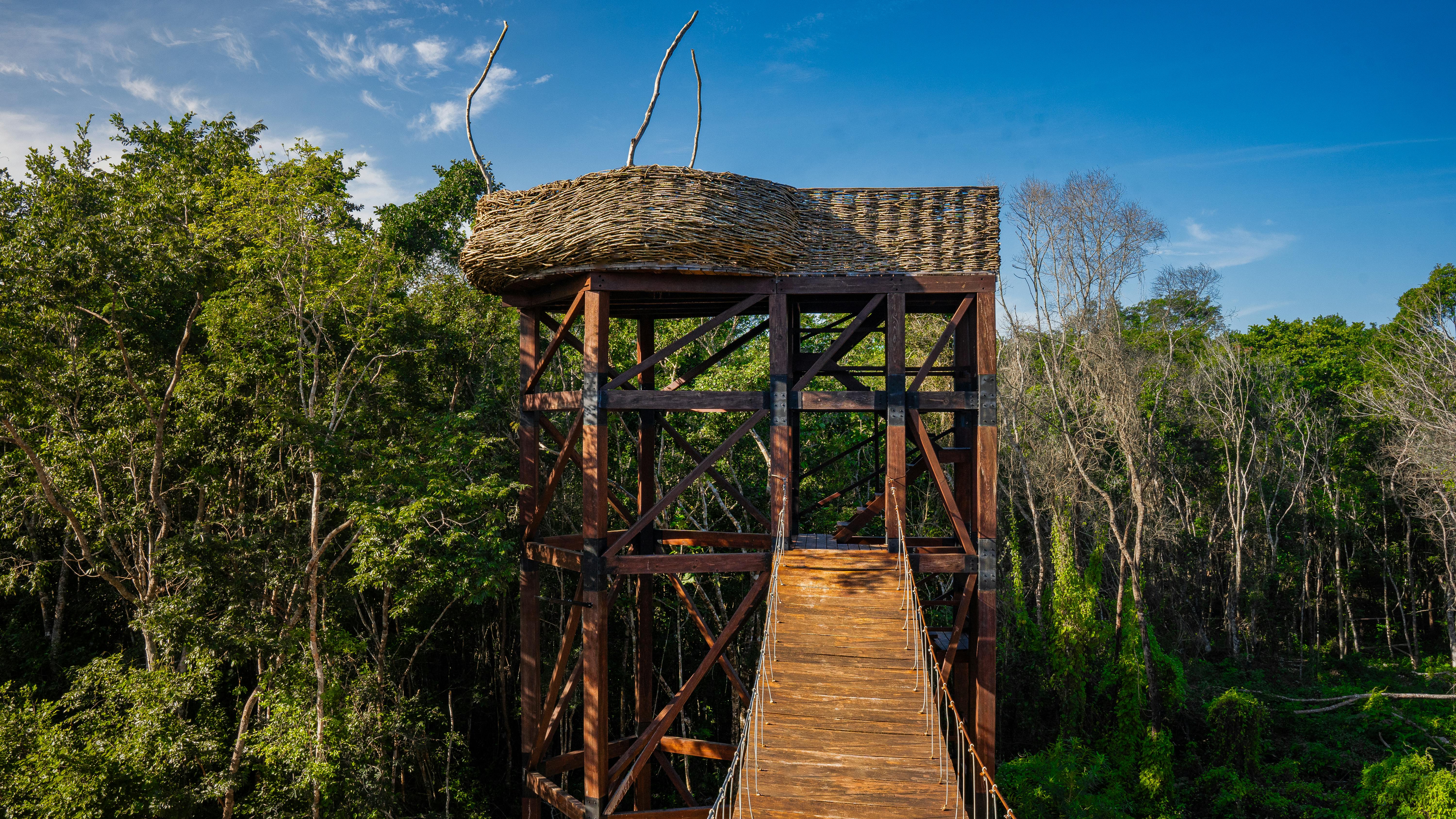 Sustainable Glamping in Bali: Traveling Responsibly