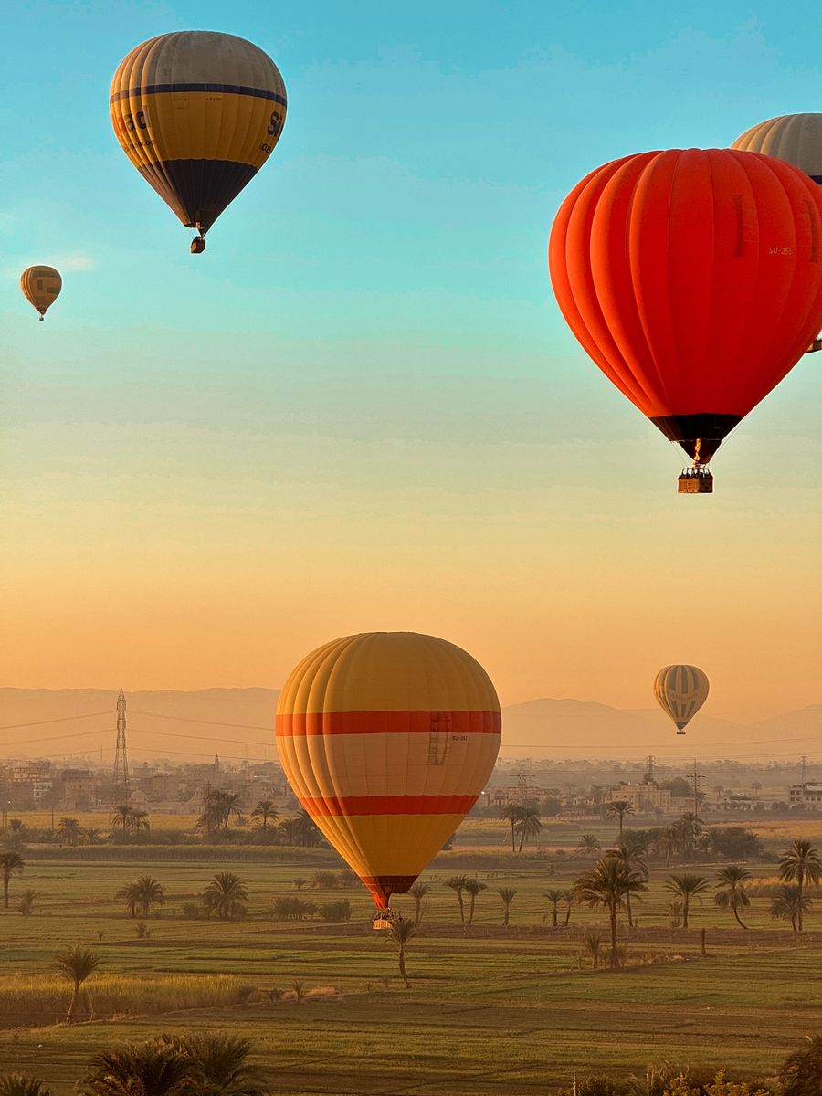 Balões coloridos sobre as palmeiras de Luxor ao nascer do sol