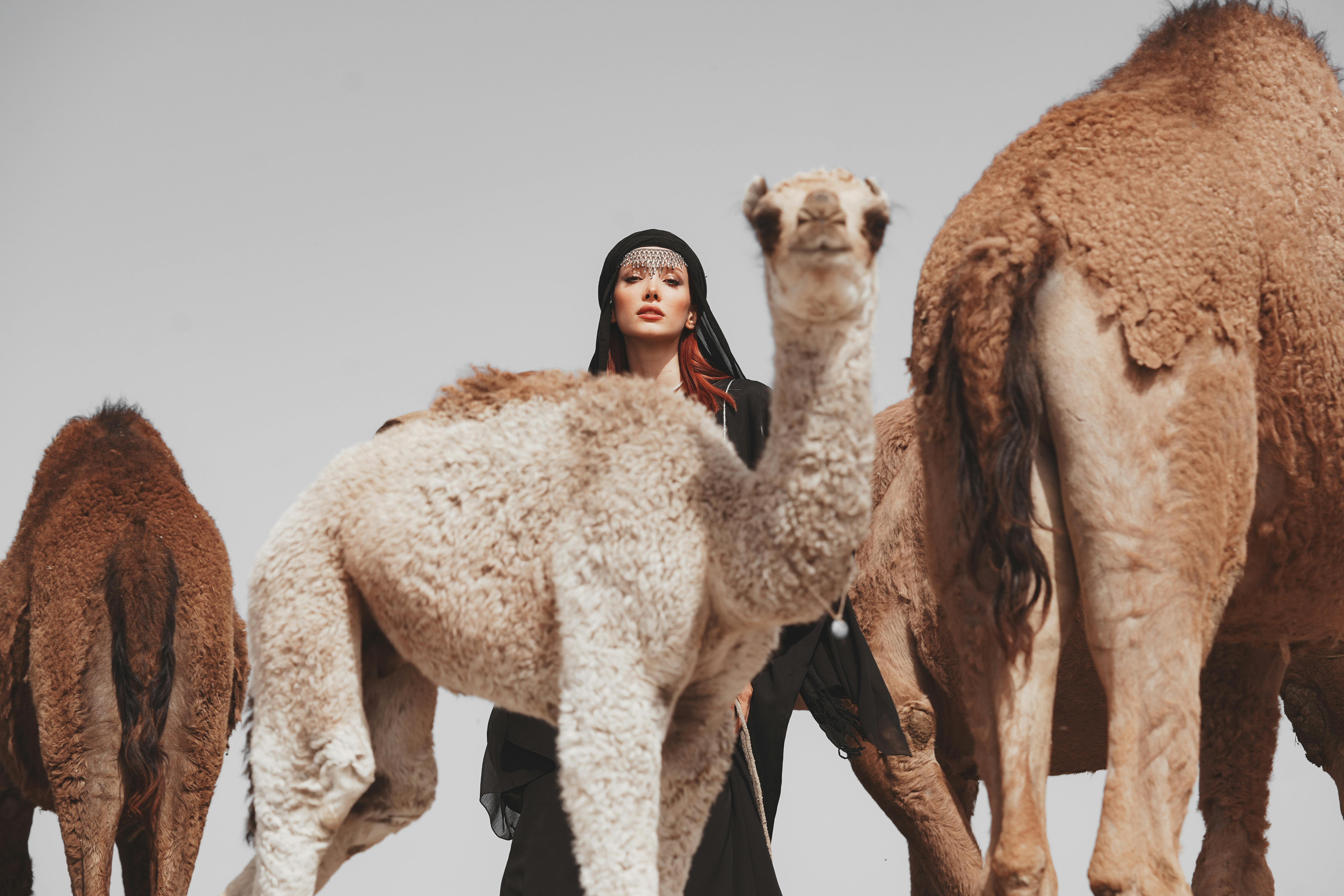 saudi arabia's general entertainment authority jobs — Photo by sara kazemi on Pexels