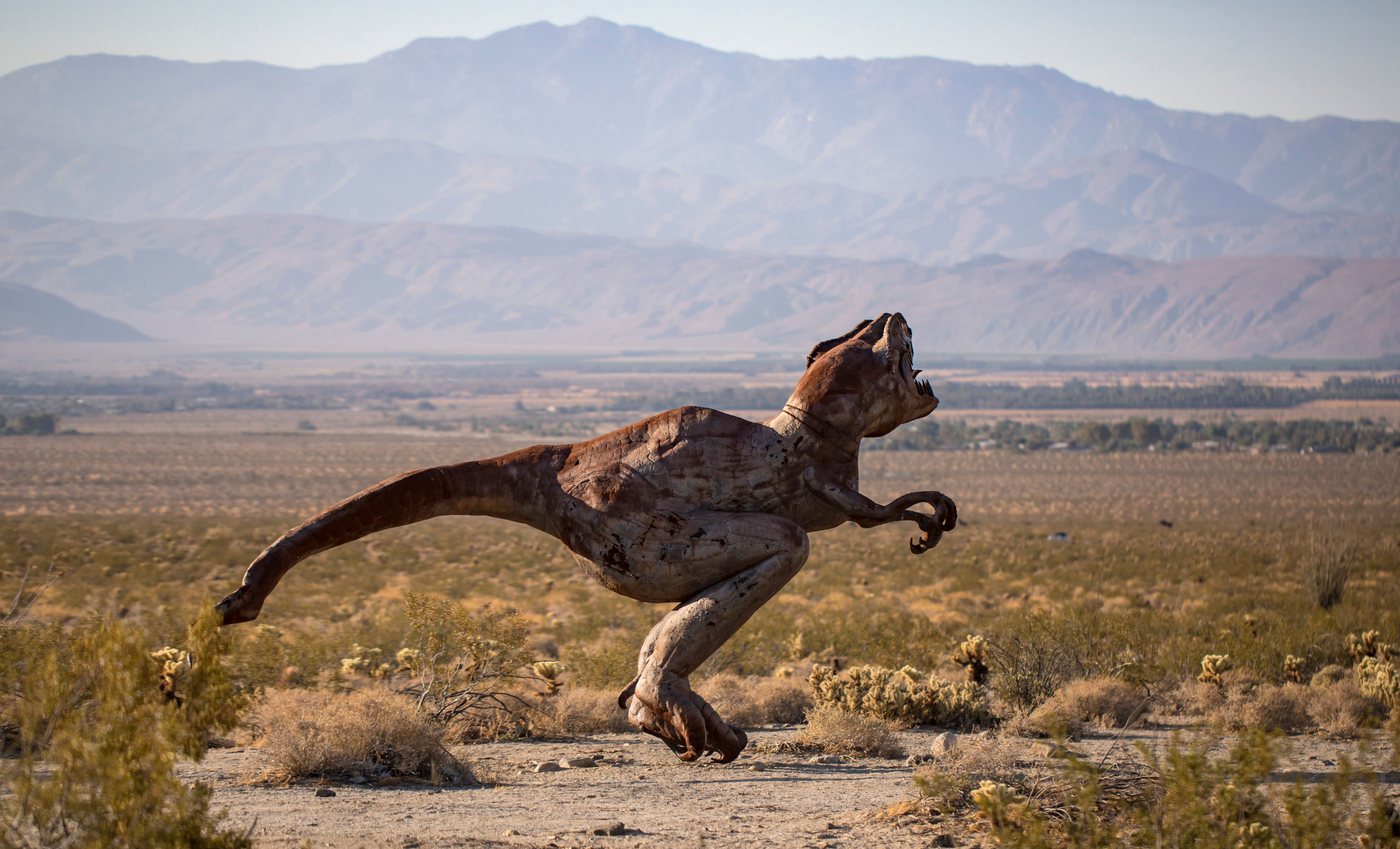 T. rex Teeth Reveal Dinosaur's Body Temperature for the First Time