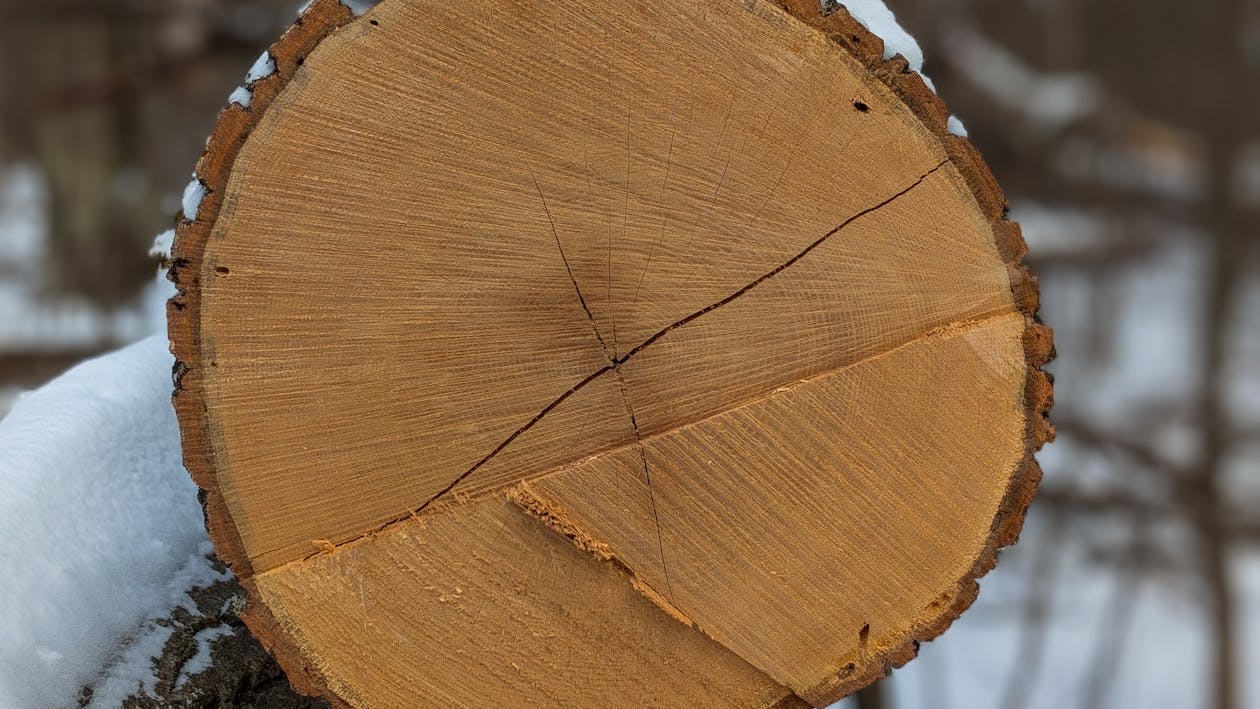 view of assortment of decor for interior shop