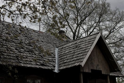 A rustic wooden house with shingle roof amidst bare trees in Wrocław, Poland.