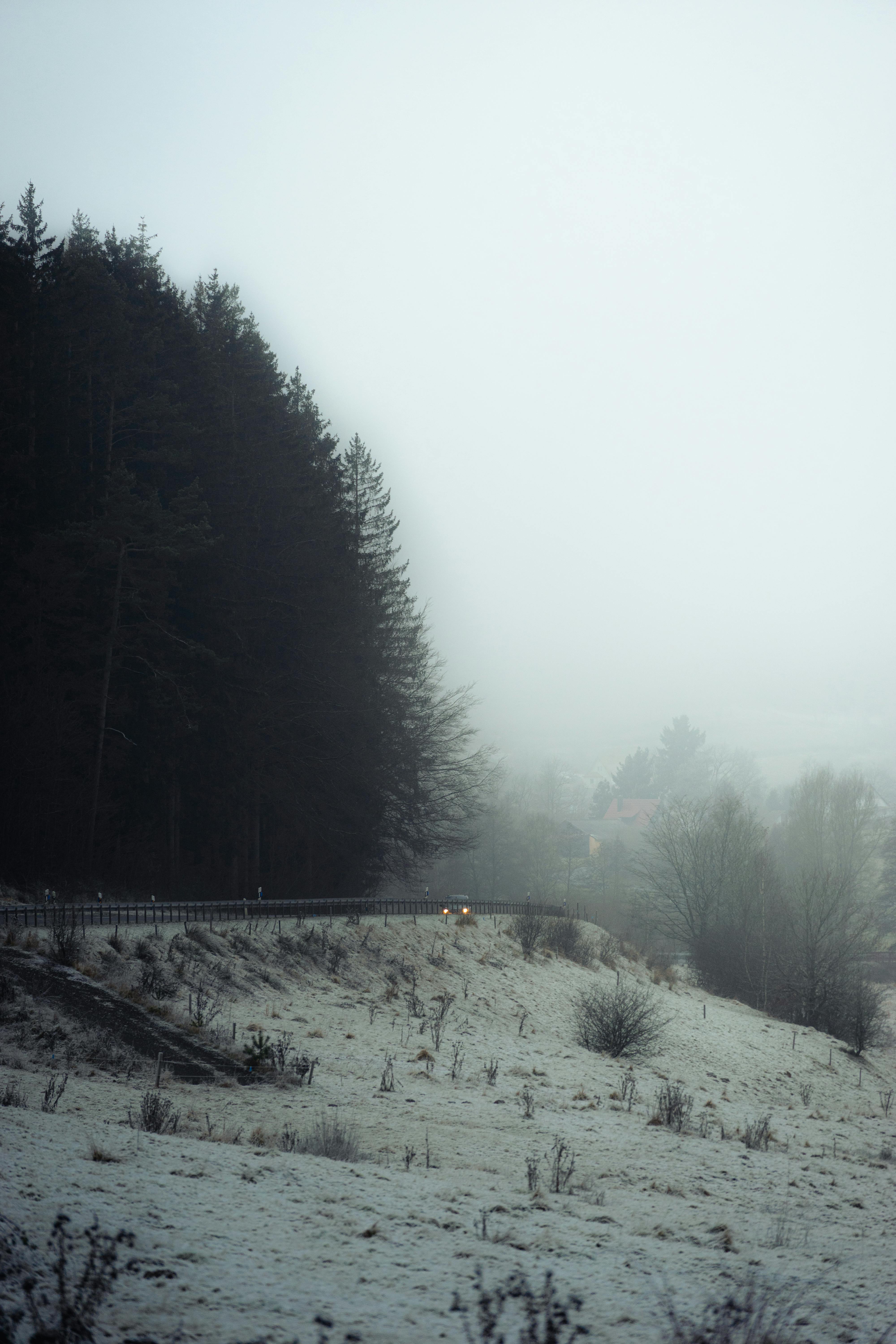 A serene forest road in Thüringen, Germany, enveloped in mist and snow during a winter day.