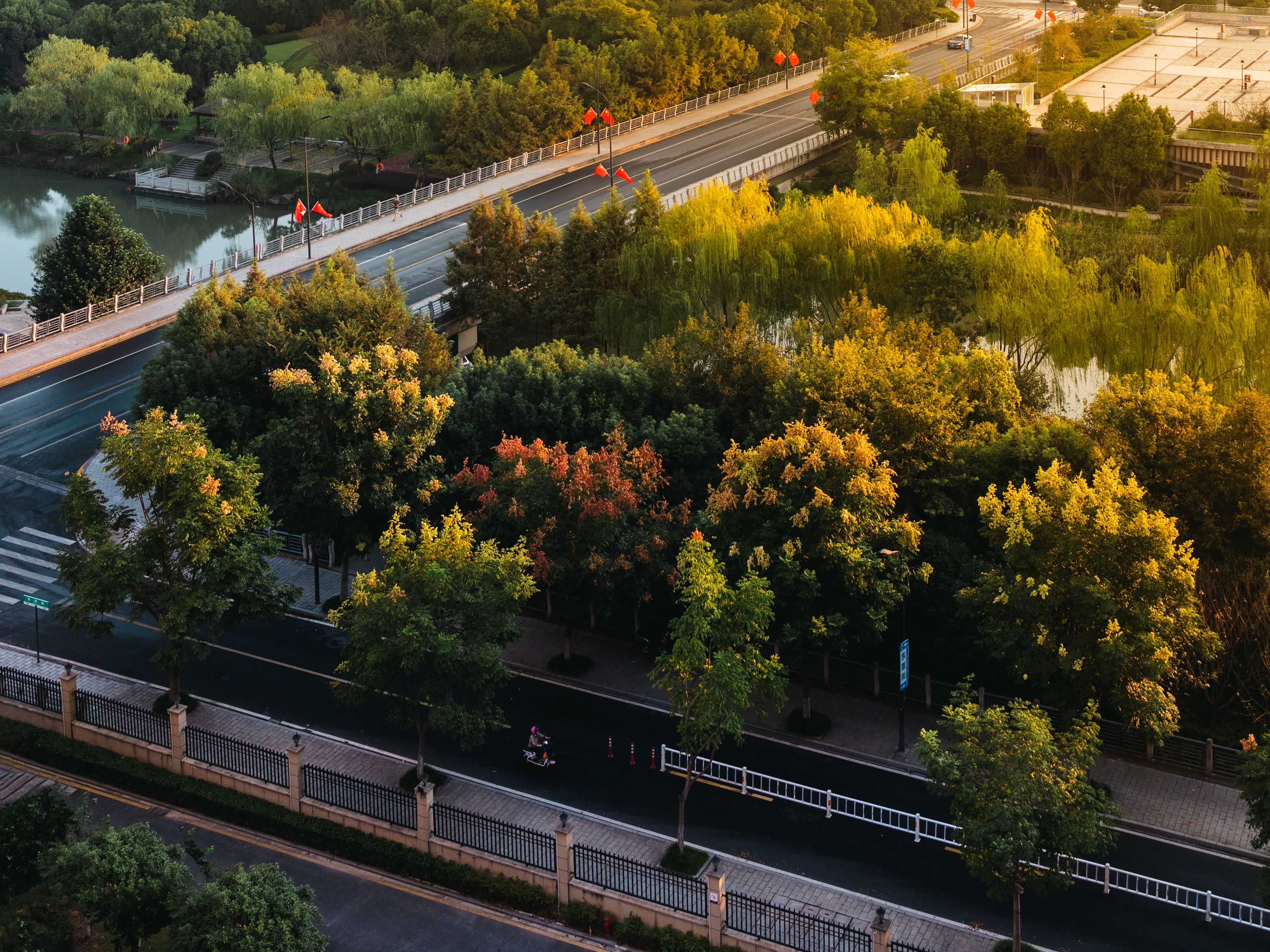corporate governance esg esg what is governance — Photo by chuanyu2015 🐴 on Pexels