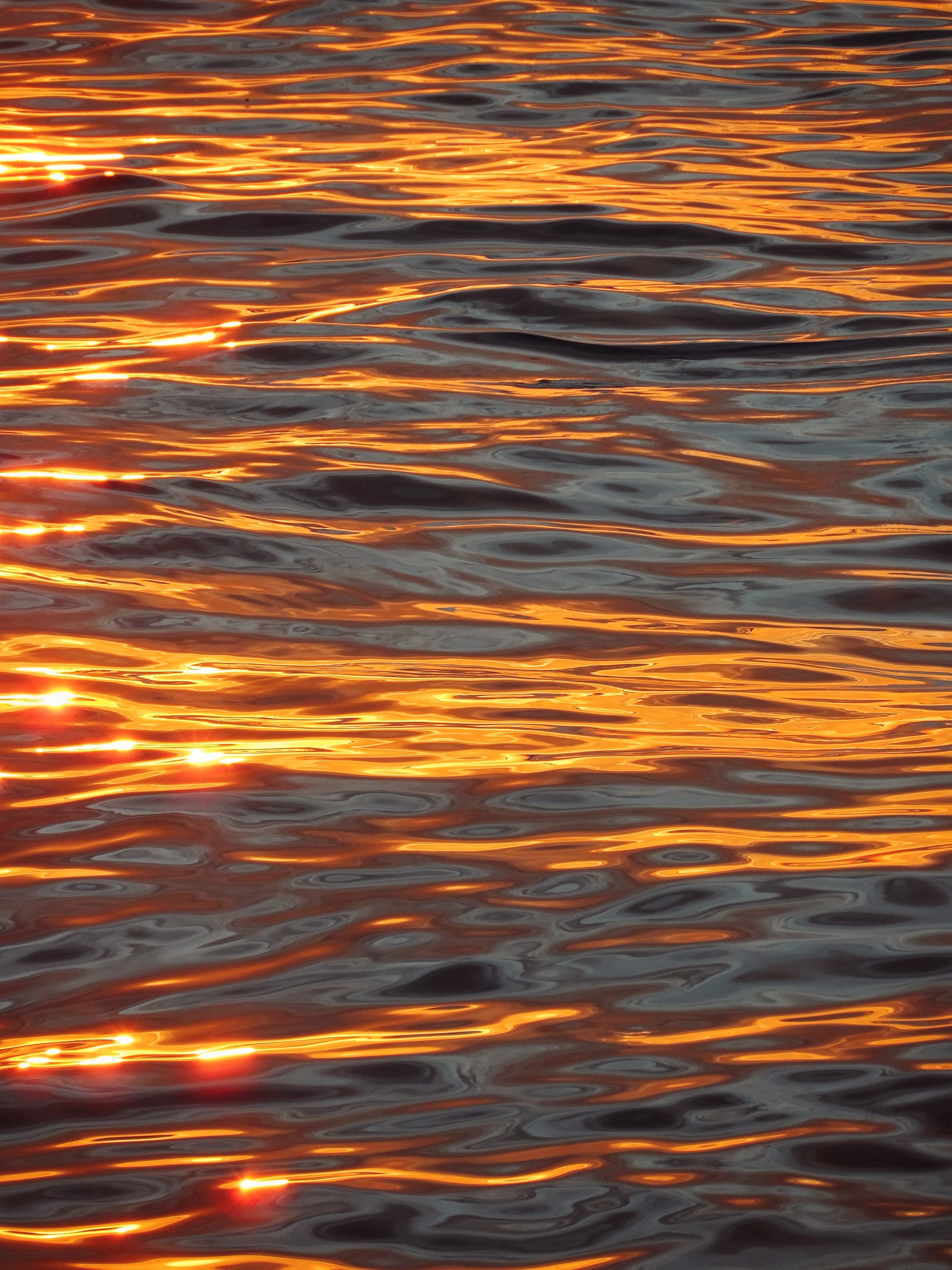 Golden Sunset Reflections on a Tranquil Ocean Surface · Free Stock Photo