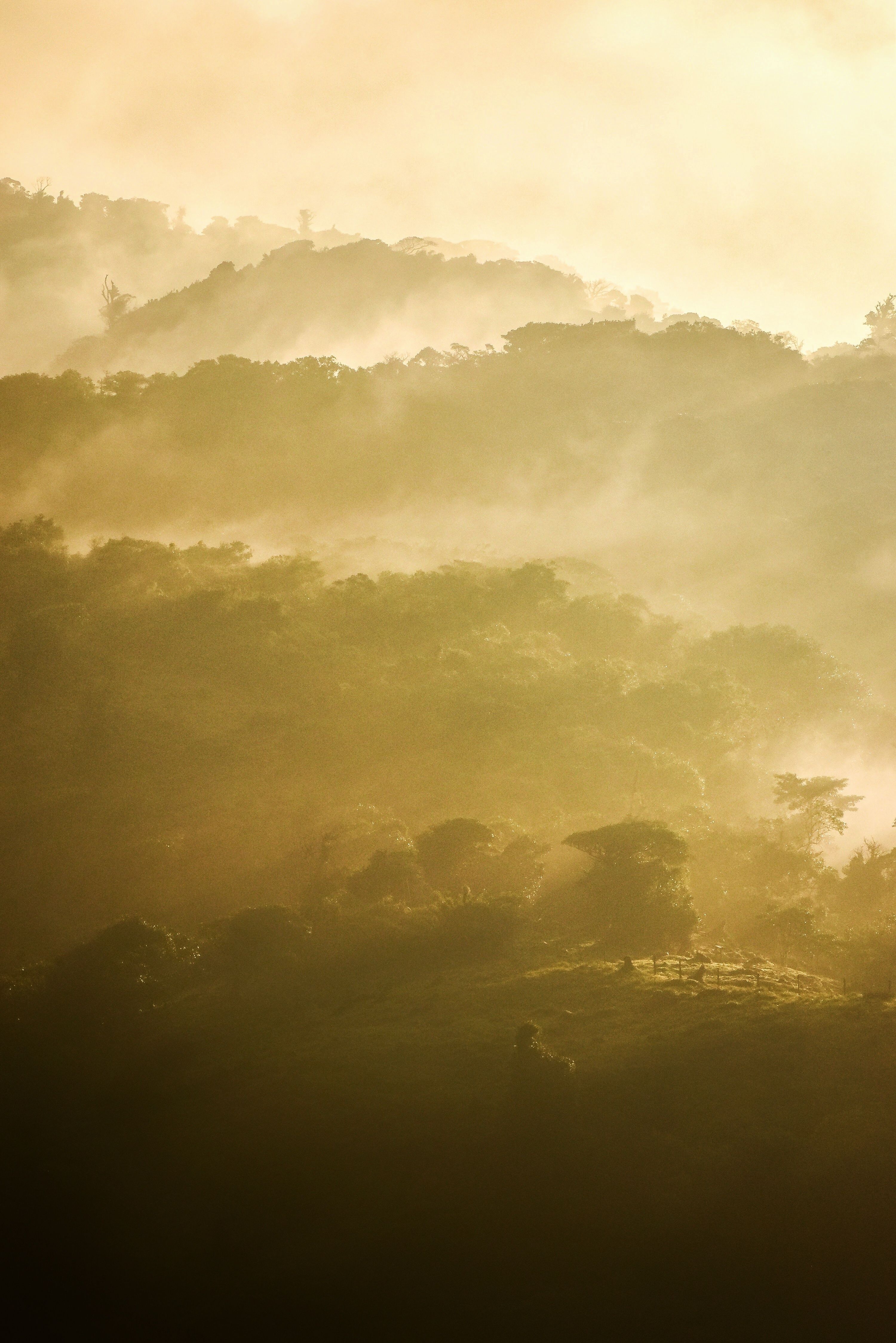 Take Mist Photos, Download The BEST Free Take Mist Stock Photos & HD Images