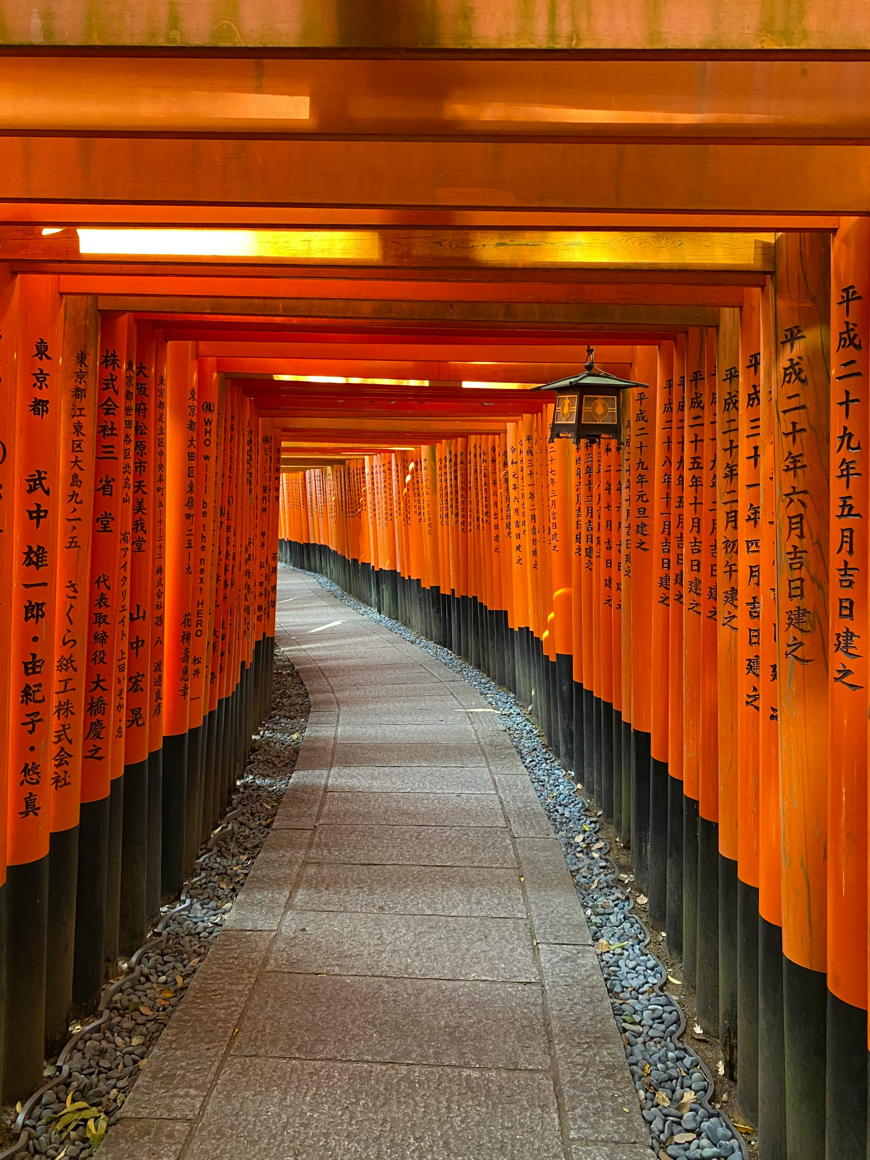 Iconic orange torii gates at Fushimi Inari Shrine in Kyoto, Japan.