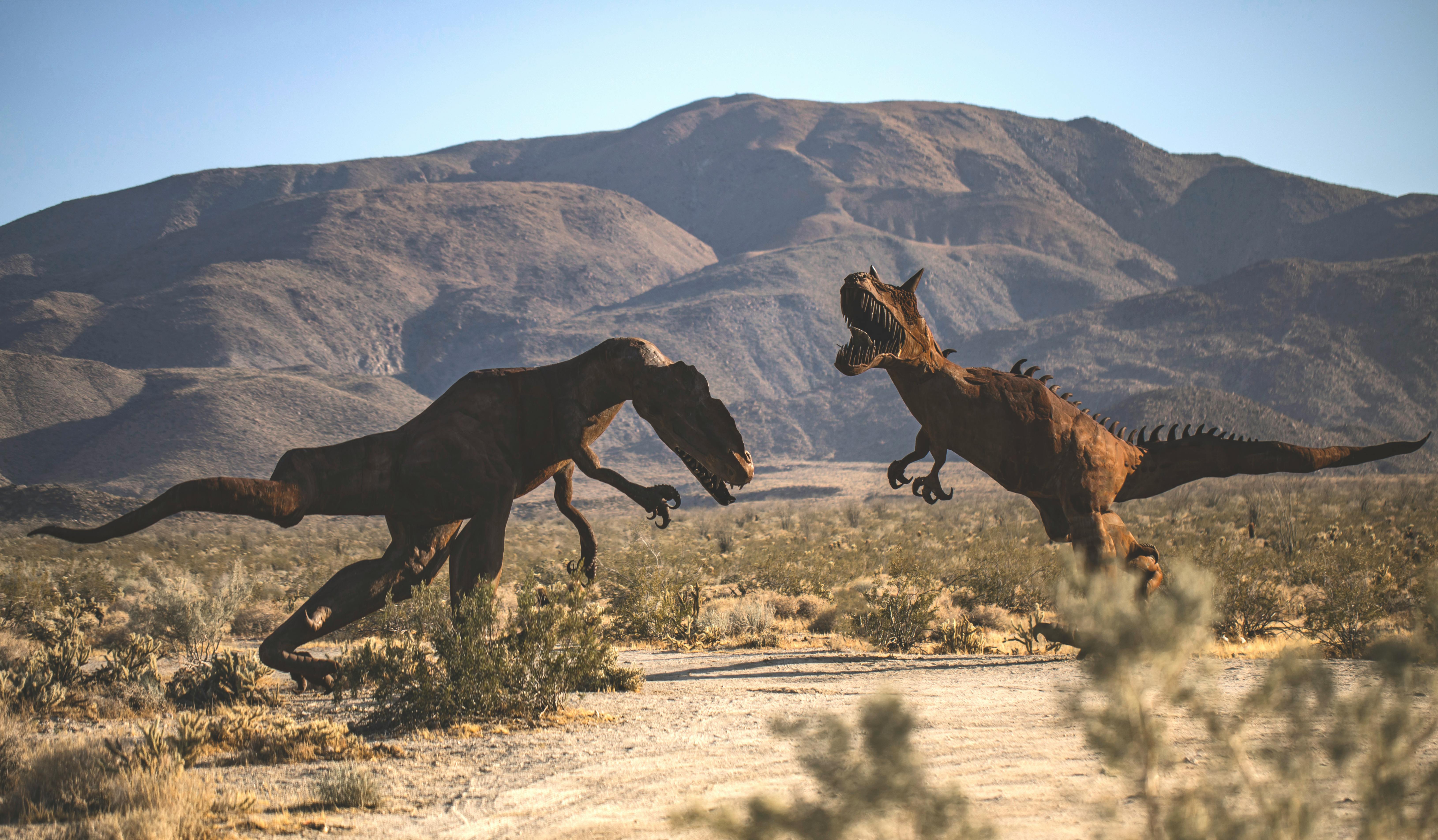 Free-range parenting? Dinosaurs cared less, research suggests — Photo by Stephen Leonardi on Pexels