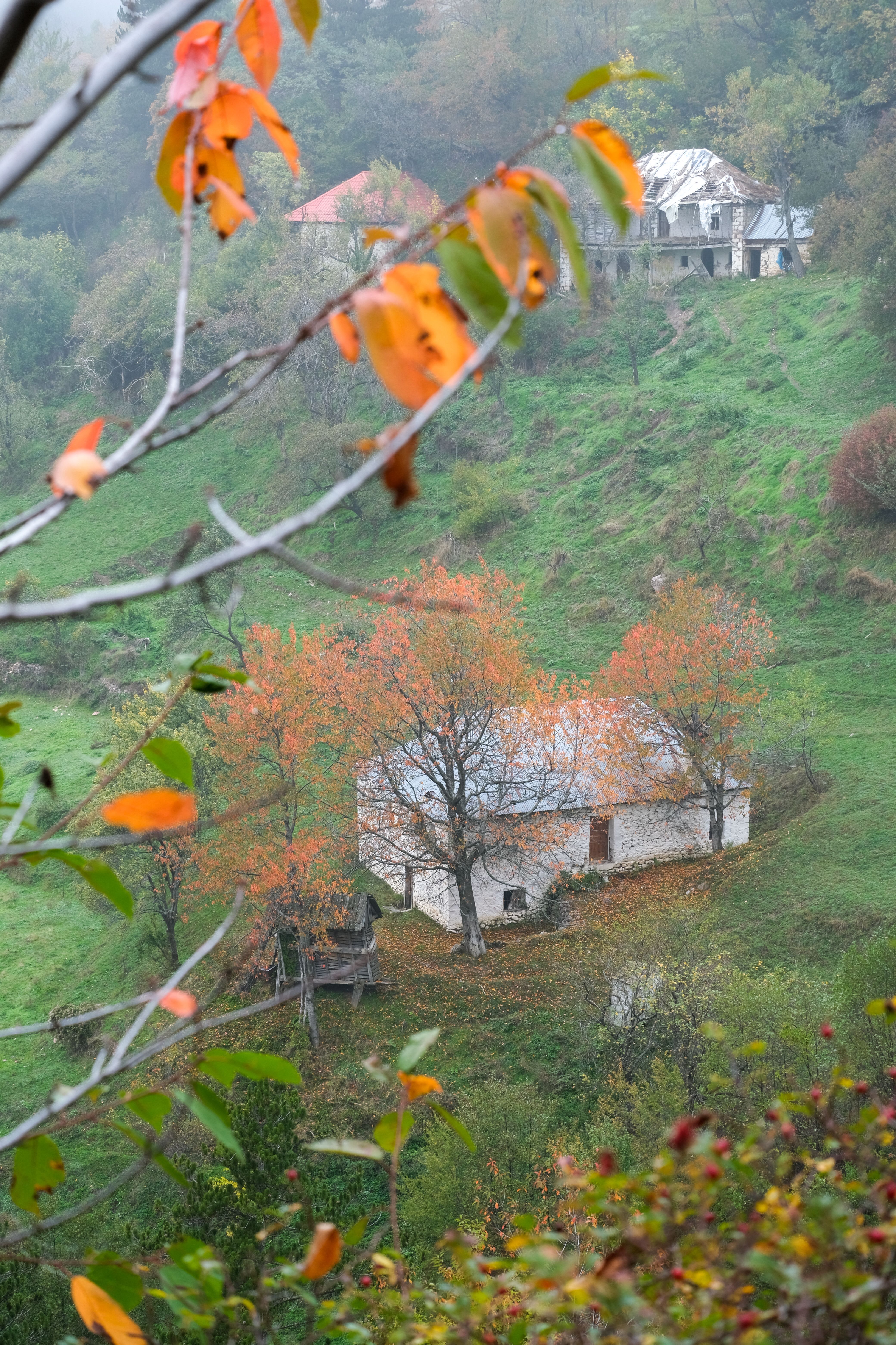 Charming Rural Landscape with Autumn Leaves · Free Stock Photo