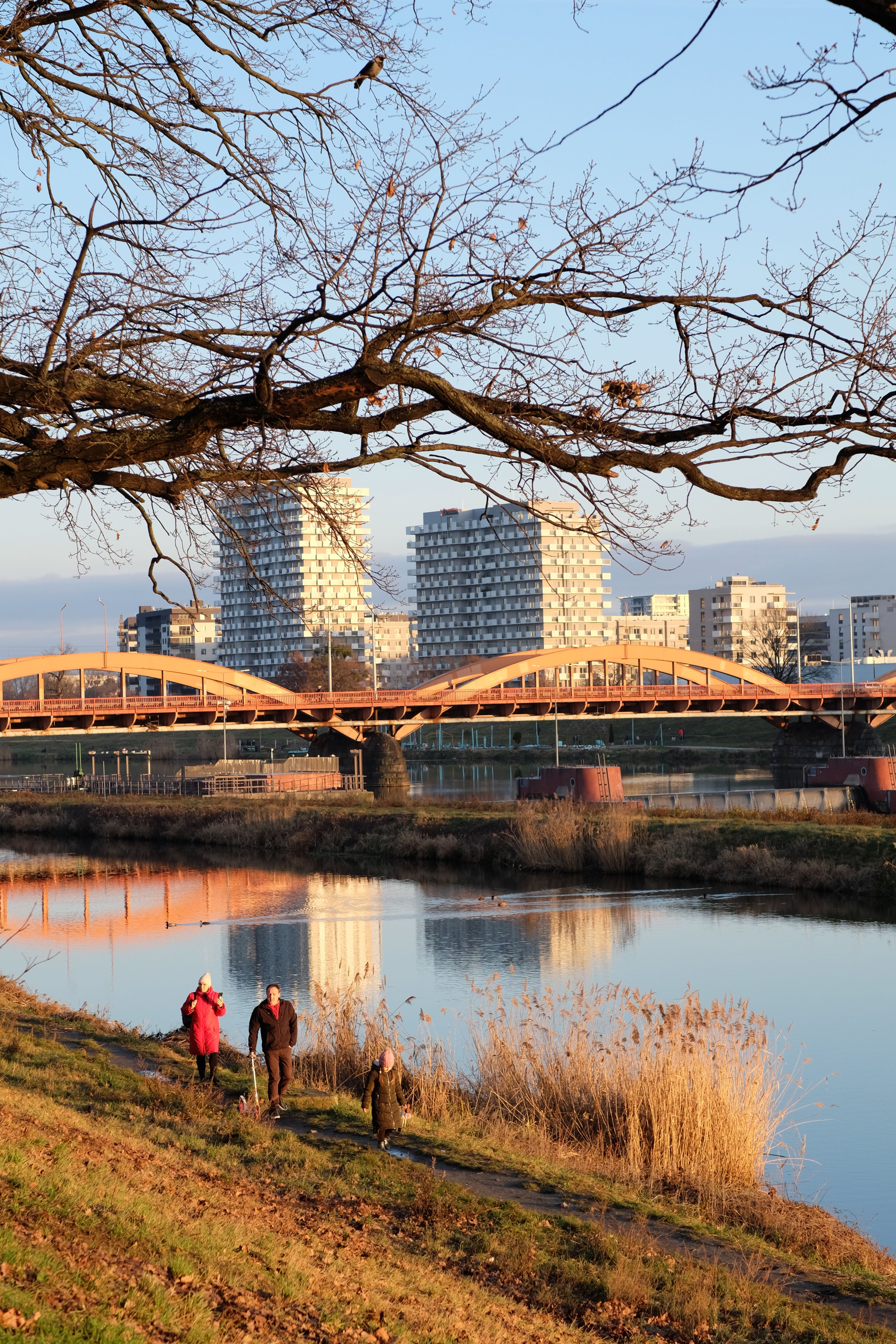 City Riverside with Bridge and Urban Skyline · Free Stock Photo