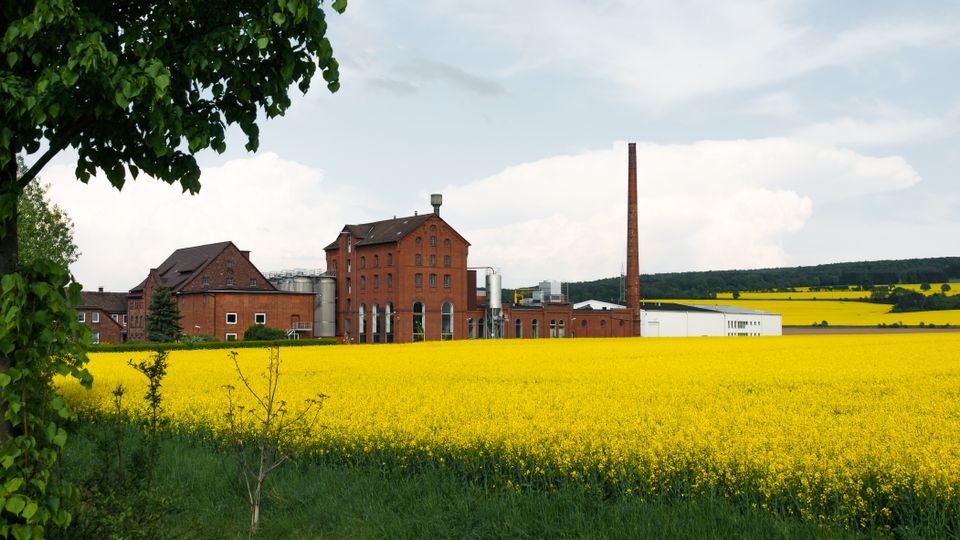 in Apolda