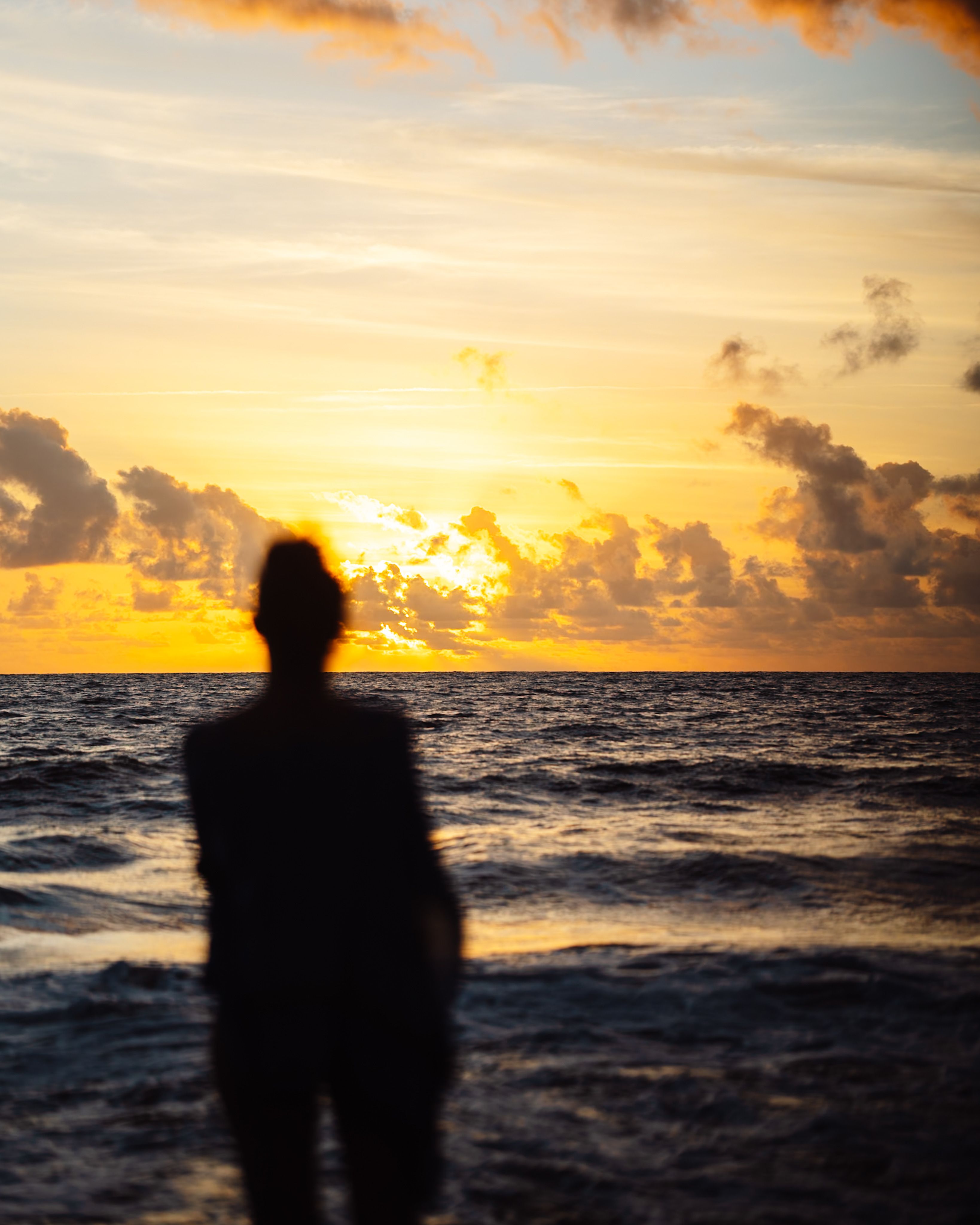 Silhouette of Person Watching Sunset by Ocean · Free Stock Photo