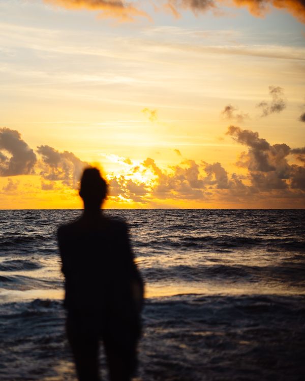 Silhouette of Person Watching Sunset by Ocean · Free Stock Photo