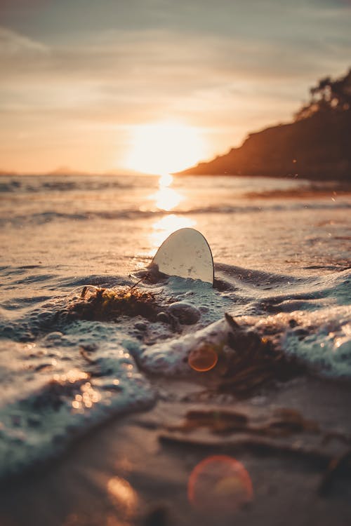 Macro Photography of Body of Water