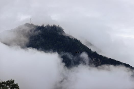 Serene mountain peak enveloped in mist and fog with dense evergreen forest and towering masts.