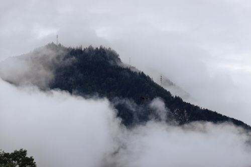 Free Serene mountain peak enveloped in mist and fog with dense evergreen forest and towering masts. Stock Photo