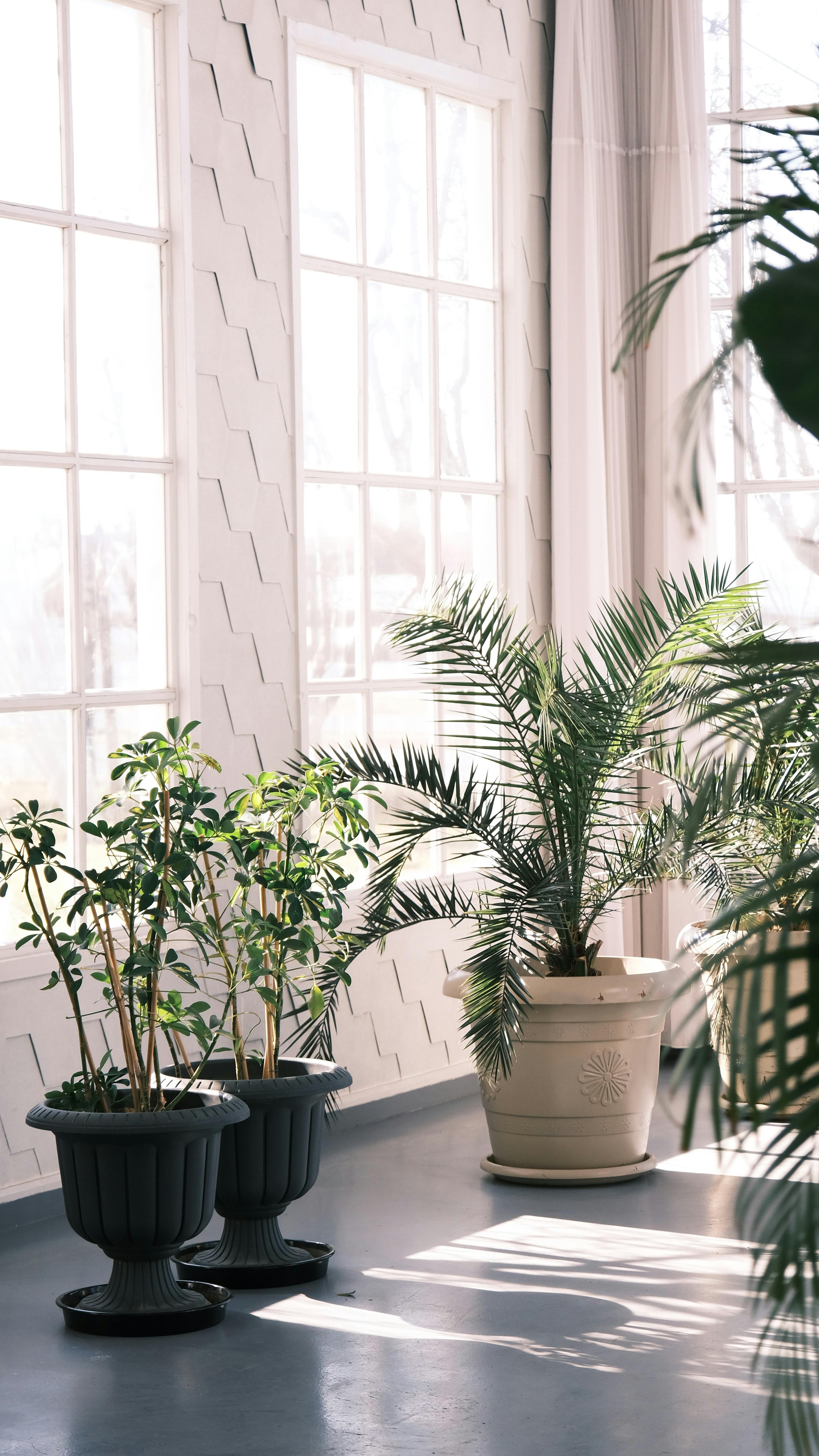 Interior lifestyle