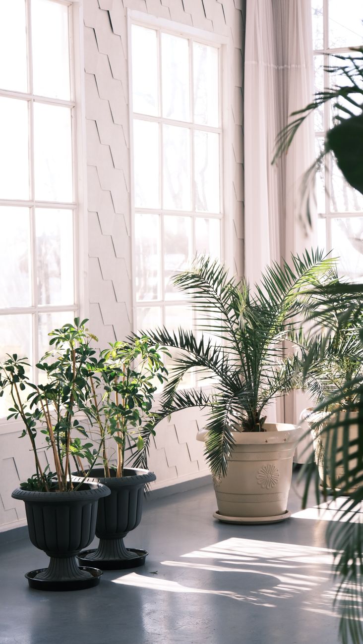 Interior lifestyle