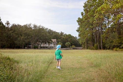 Free stock photo of boy, grass, green