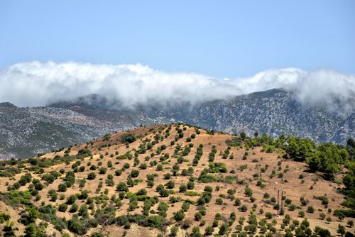 Free Beautiful view of the rugged landscape and scattered vegetation in Chefchaouen under a clear sky. Stock Photo