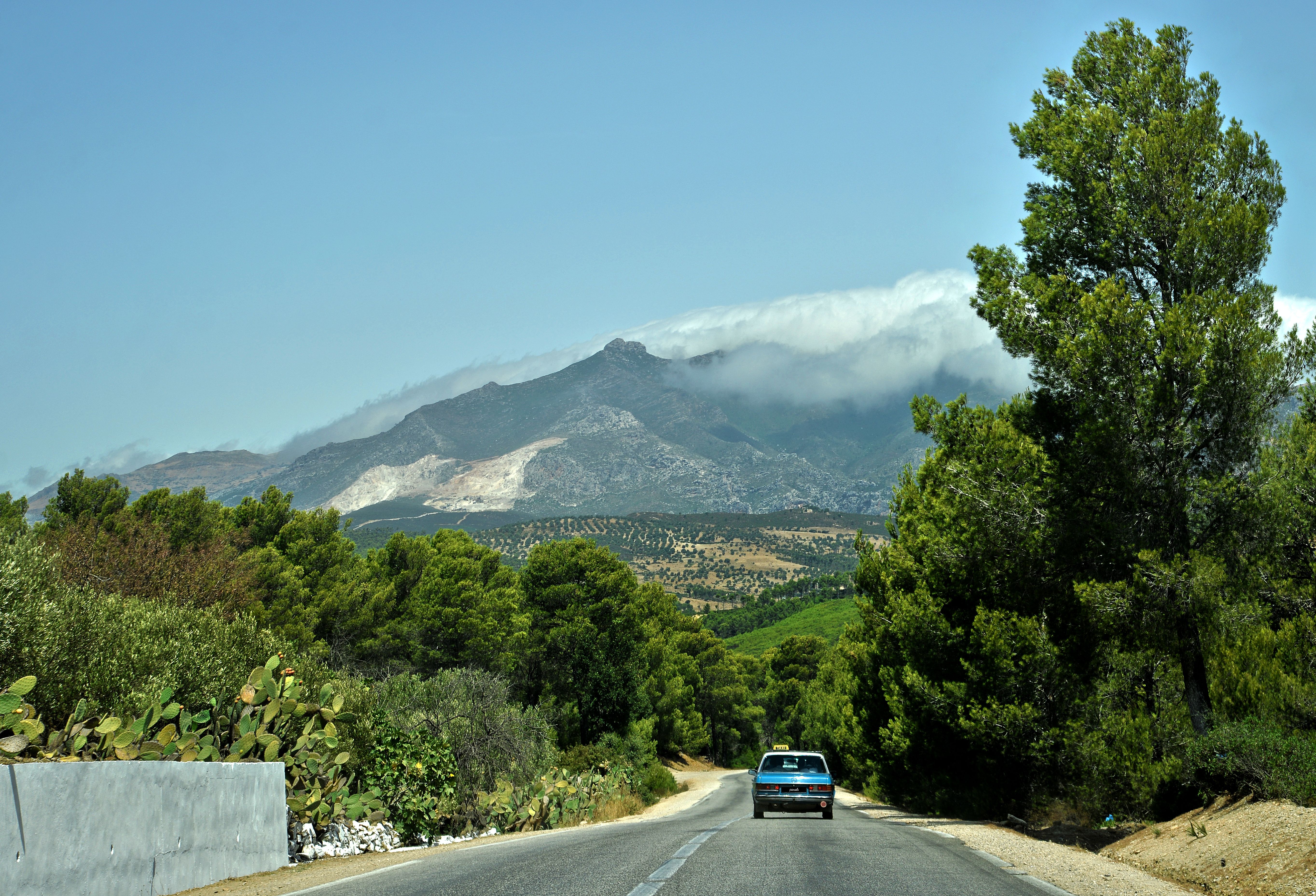 A serene drive through the lush landscape of the Rif Mountains in Chefchaouen, Morocco.