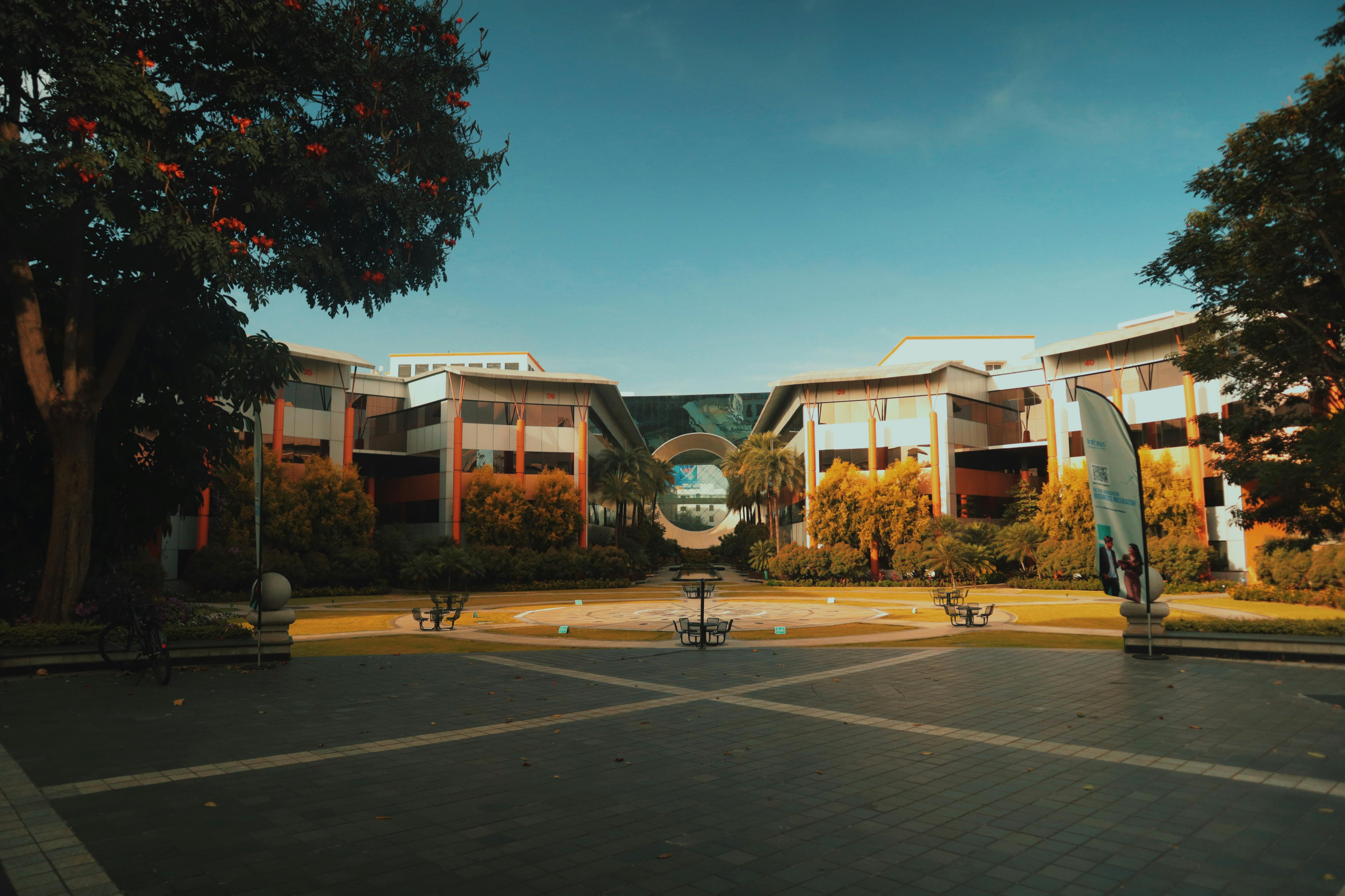 Mental Health Maze on Campus — Photo by Shivansh  Sharma on Pexels