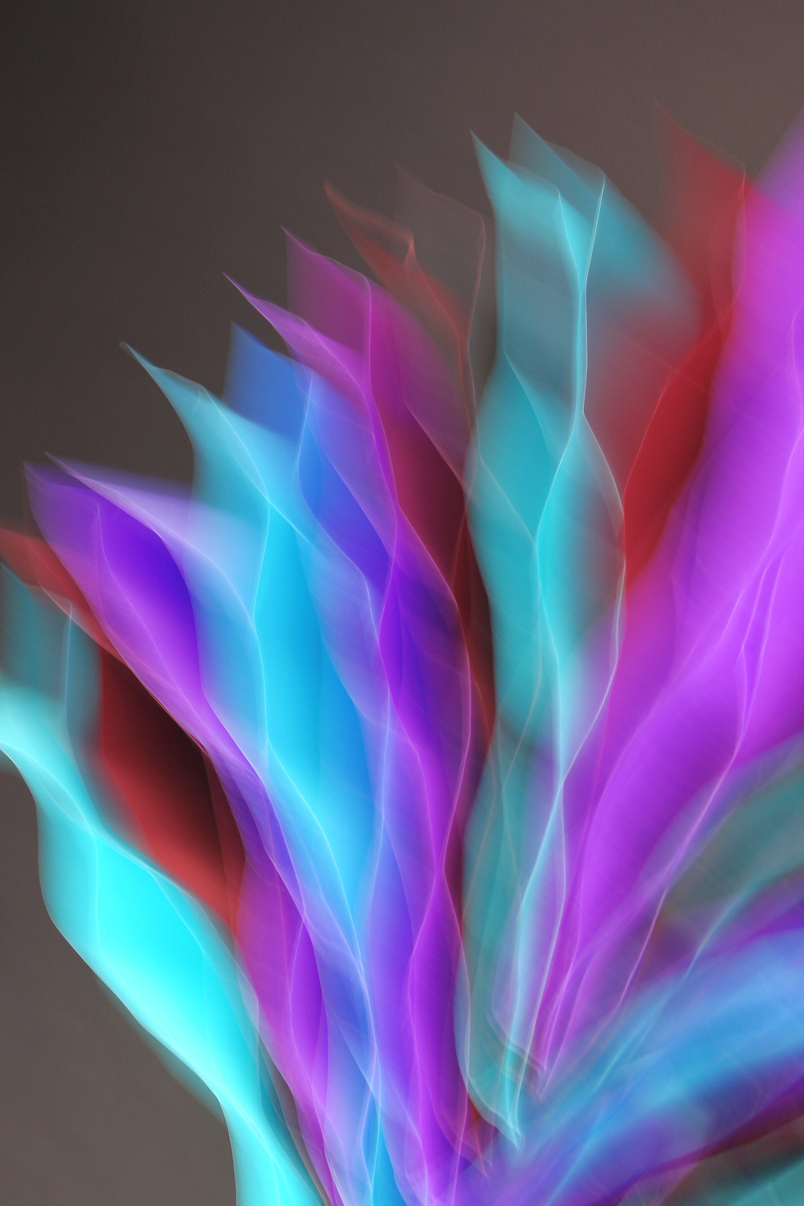 Vibrant Abstract Light Movement in Bold Colors · Free Stock Photo