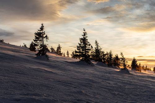 Free Breathtaking winter scene in Česko with snow-covered pines and a vibrant sunset sky. Stock Photo