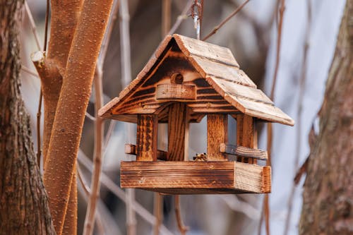 Easy DIY Winter Shelters That Welcome Birds and Pollinators Home