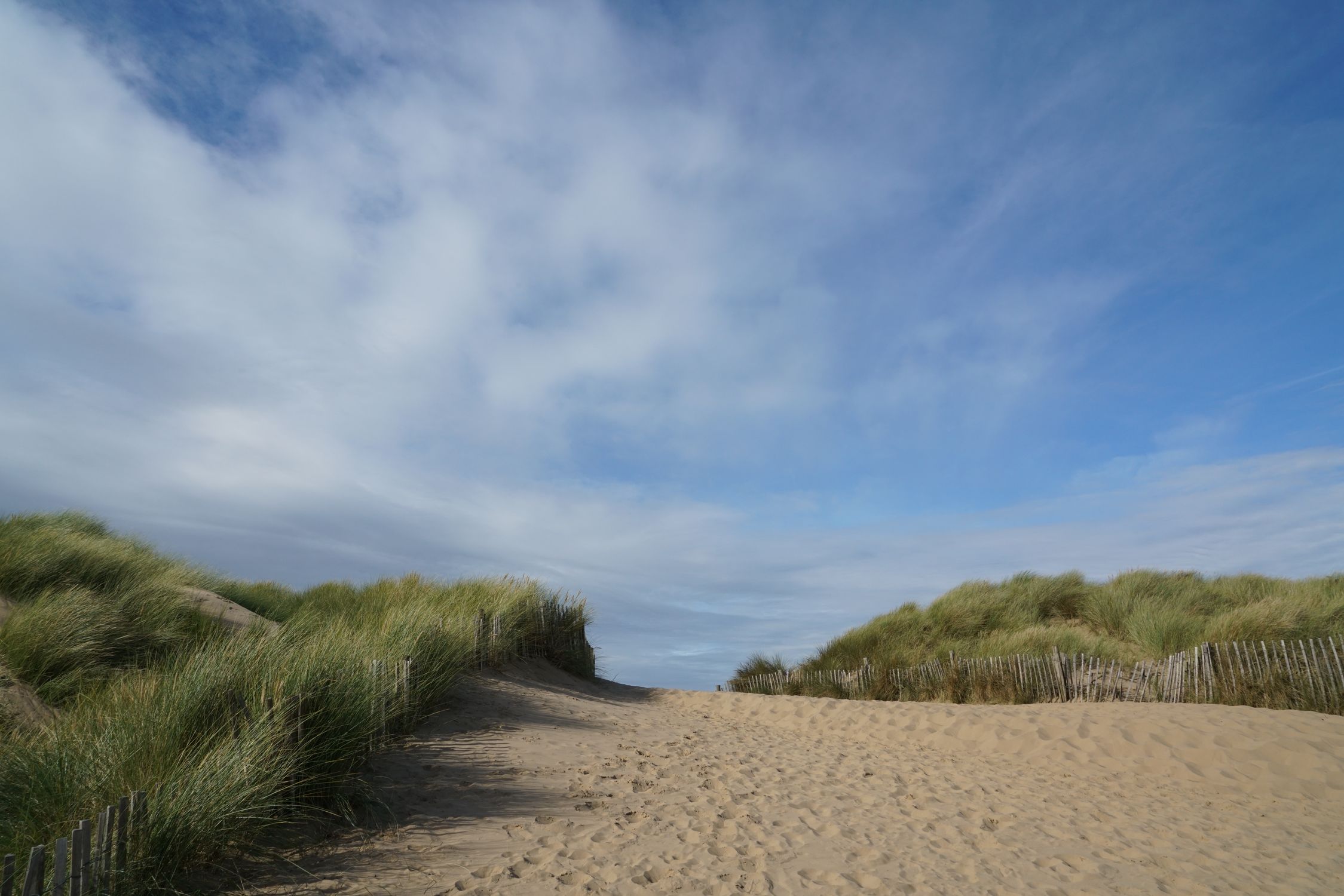 Serene Sandy Pathway Through Coastal Dunes · Free Stock Photo