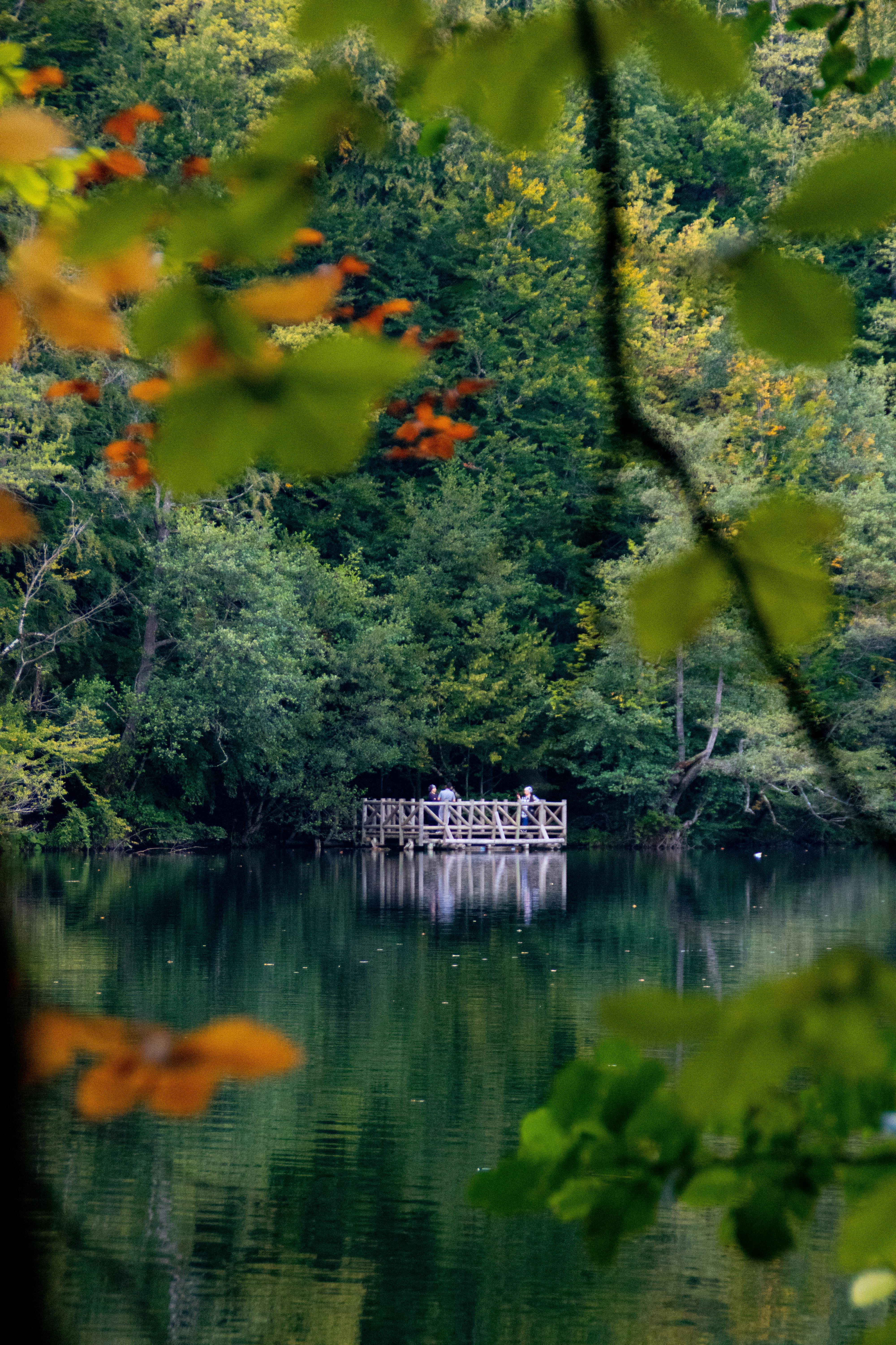 Tranquil lake scene with vibrant autumn leaves framing a peaceful view.