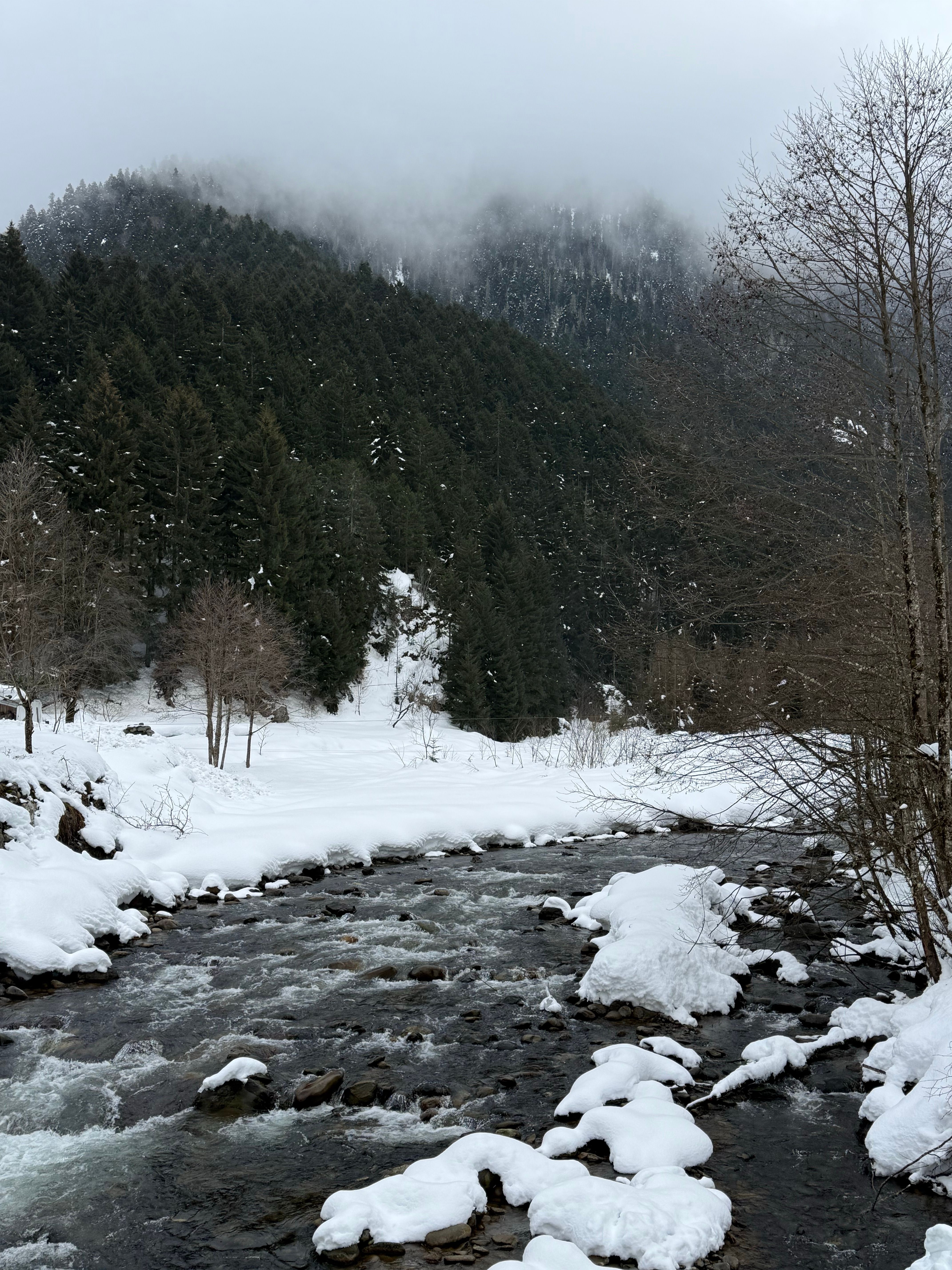 Serene Winter River in Snowy Forest Landscape · Free Stock Photo