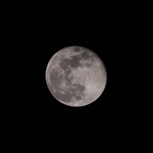 Free Detailed close-up of the full moon with visible craters against a black night sky. Stock Photo