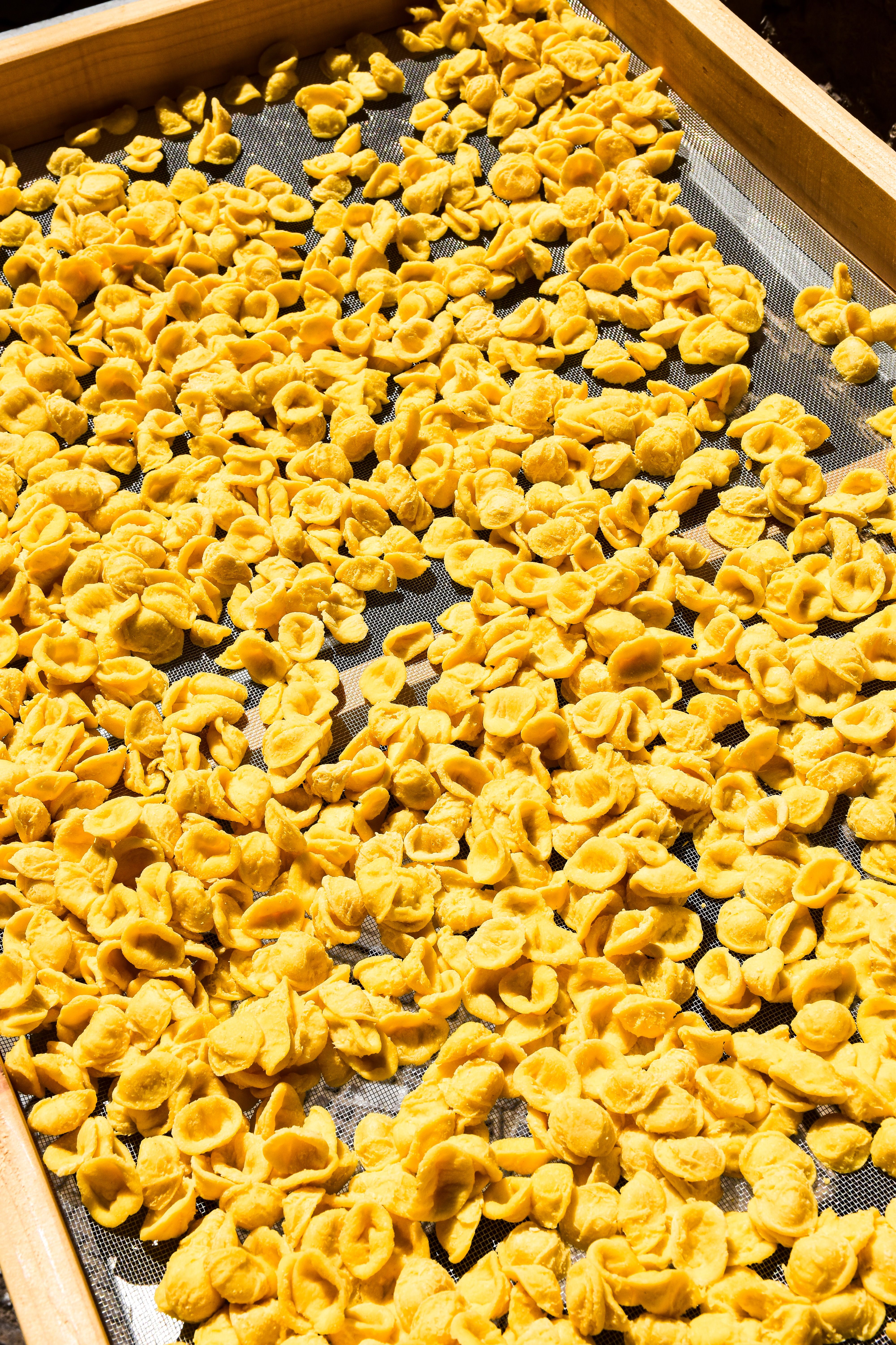 Orecchiette al ragù: pasta pugliese fatta a mano
