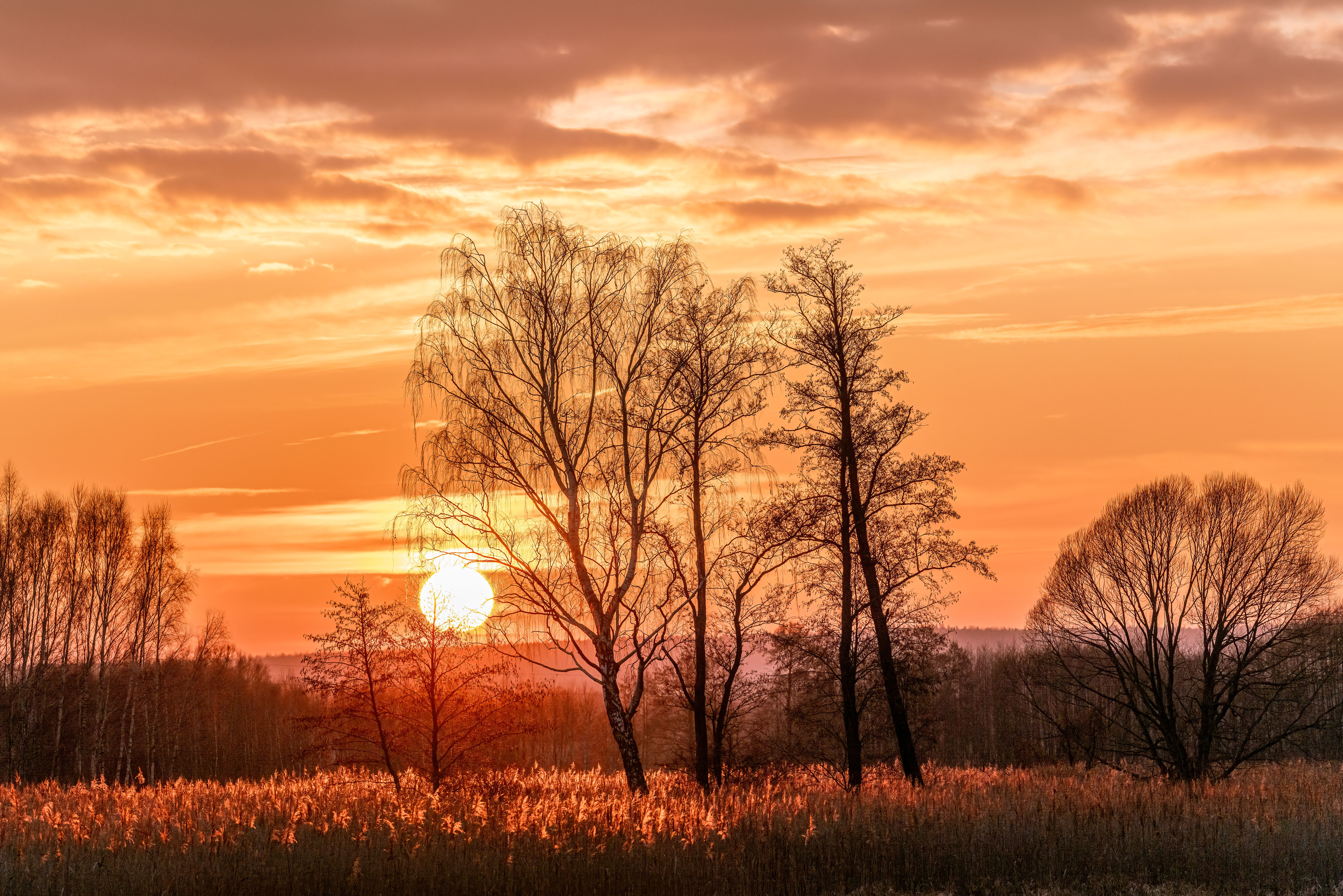 sunset over a quiet landscape, peaceful and serene