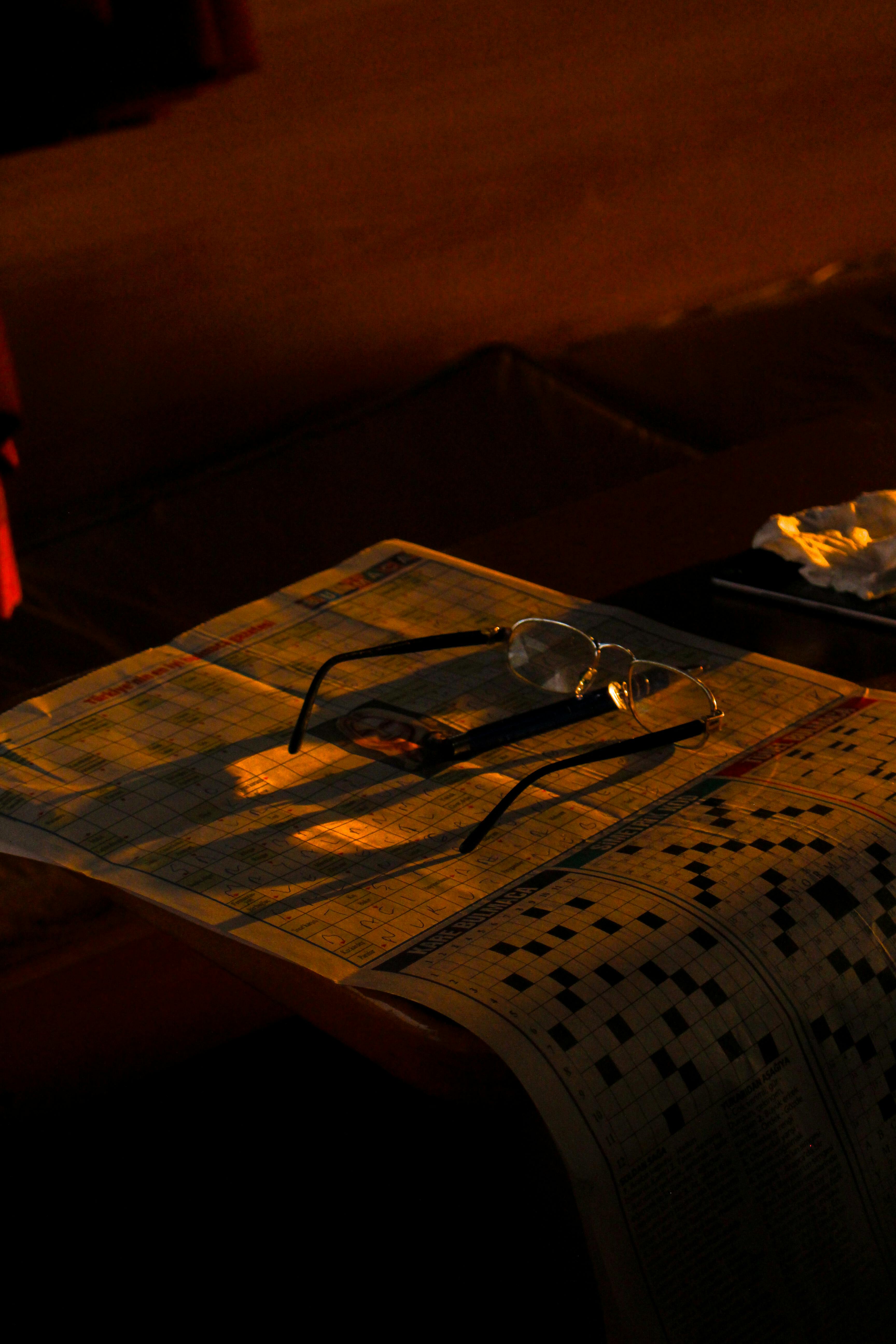 grátis Foto profissional grátis de acolhedor, bifocais, calor Foto profissional