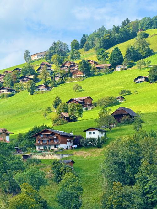 Free Idyllic Swiss chalets scattered across the lush green hills of Beatenberg, Switzerland. Stock Photo