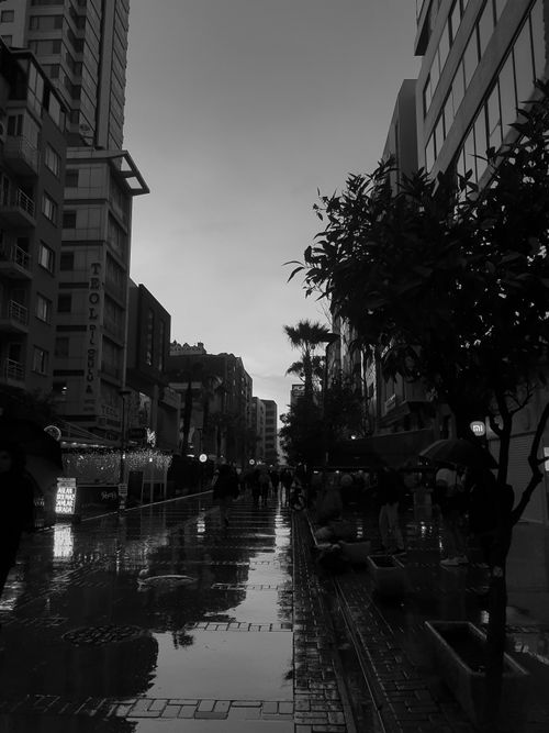 Free Black and white photo of a rainy urban street at dusk with reflections and silhouettes. Stock Photo