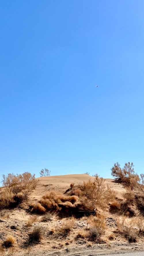 Free Vast desert scene with clear blue sky and sunlit sand dunes. Stock Photo