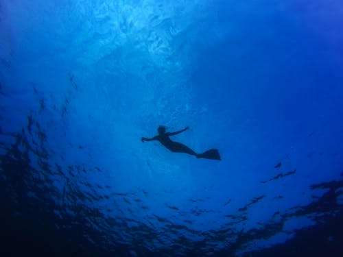 Free Diver in Water Stock Photo