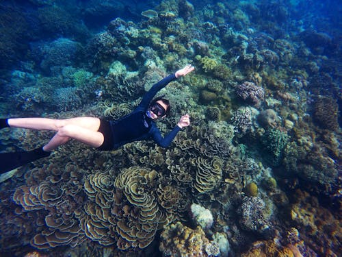 Underwater Photography Of Person