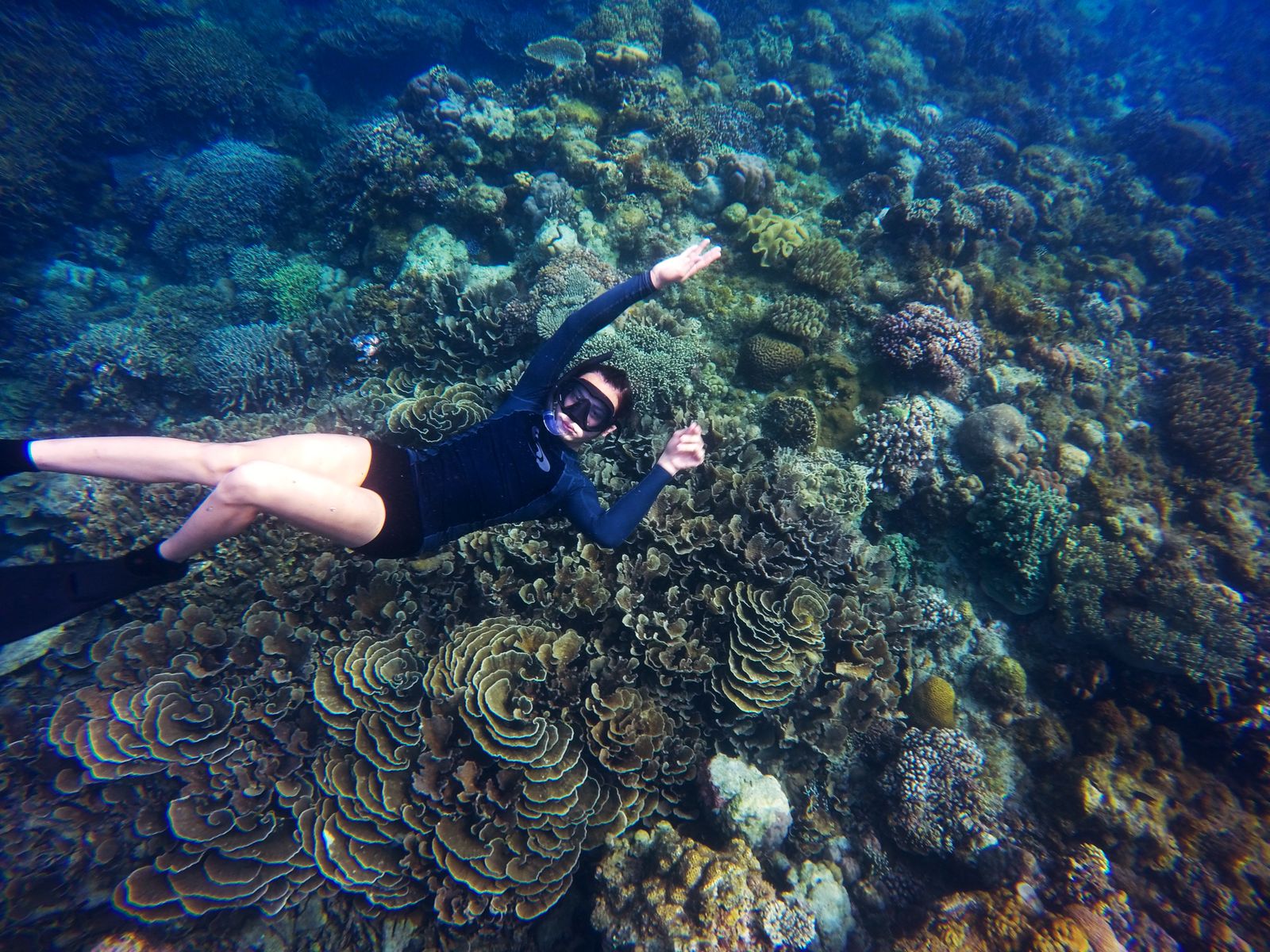 House Reef